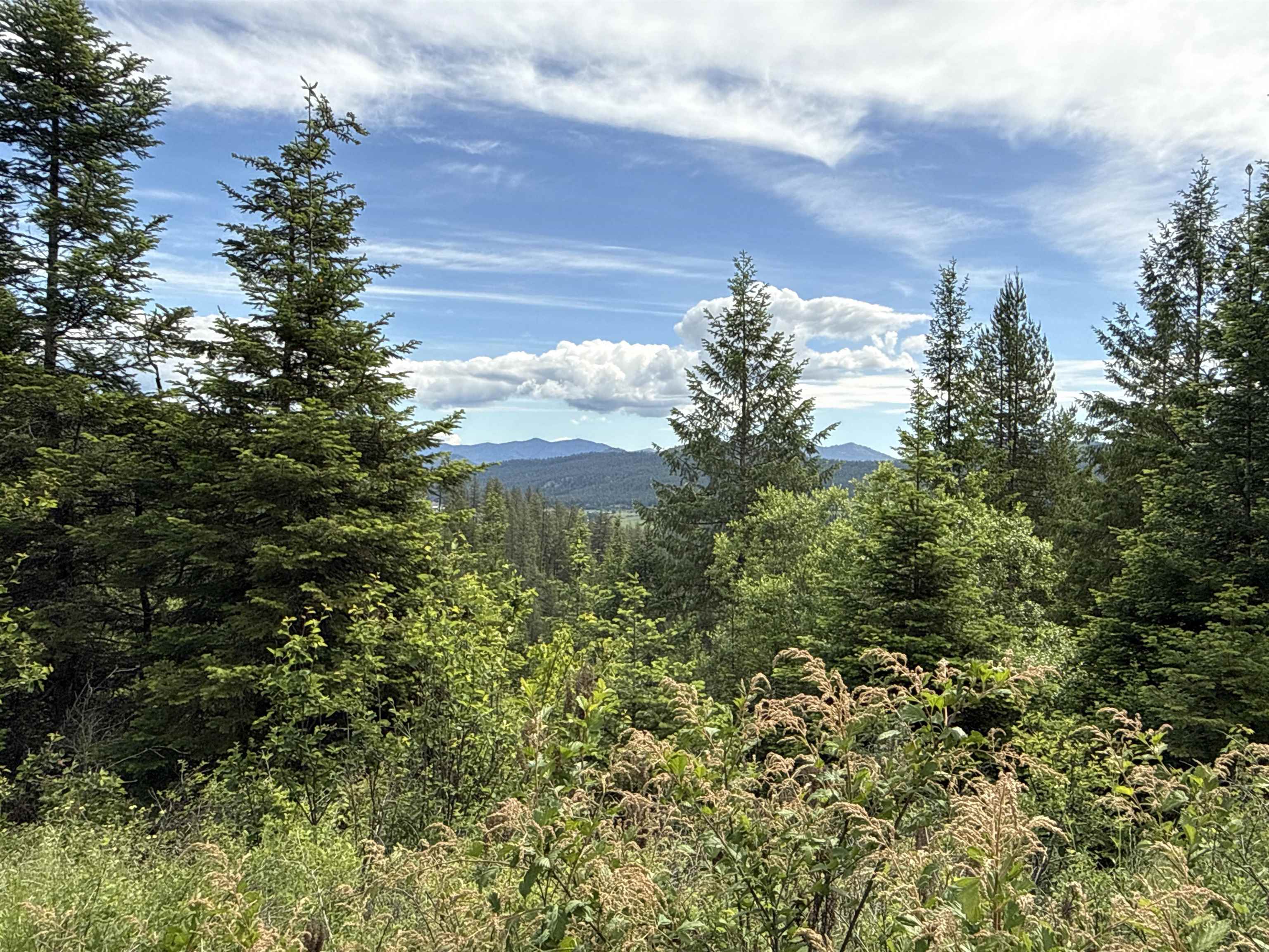 NKA Deer Creek Rd - Photo 12