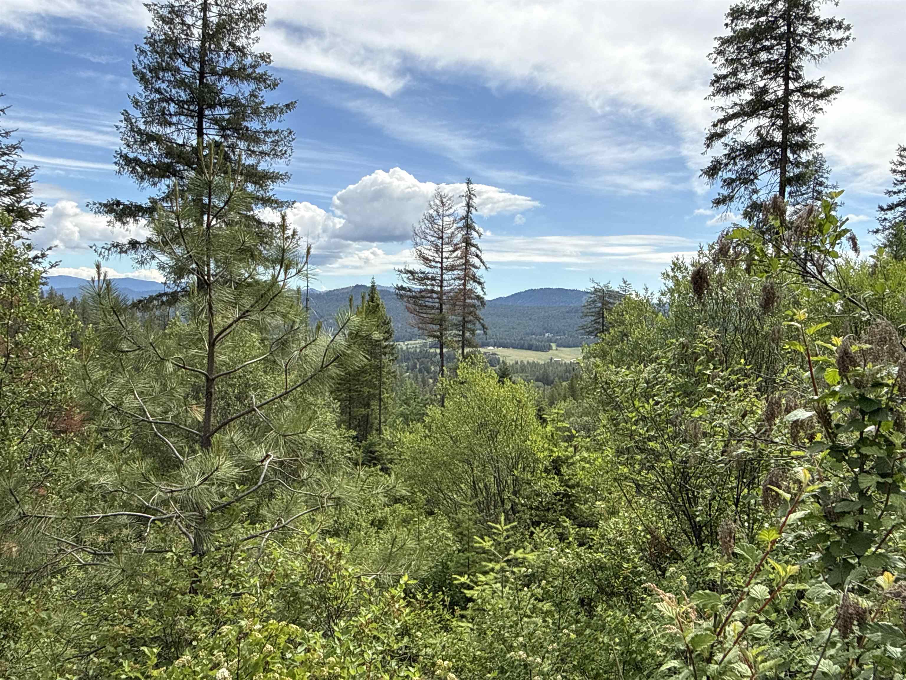 NKA Deer Creek Rd - Photo 13