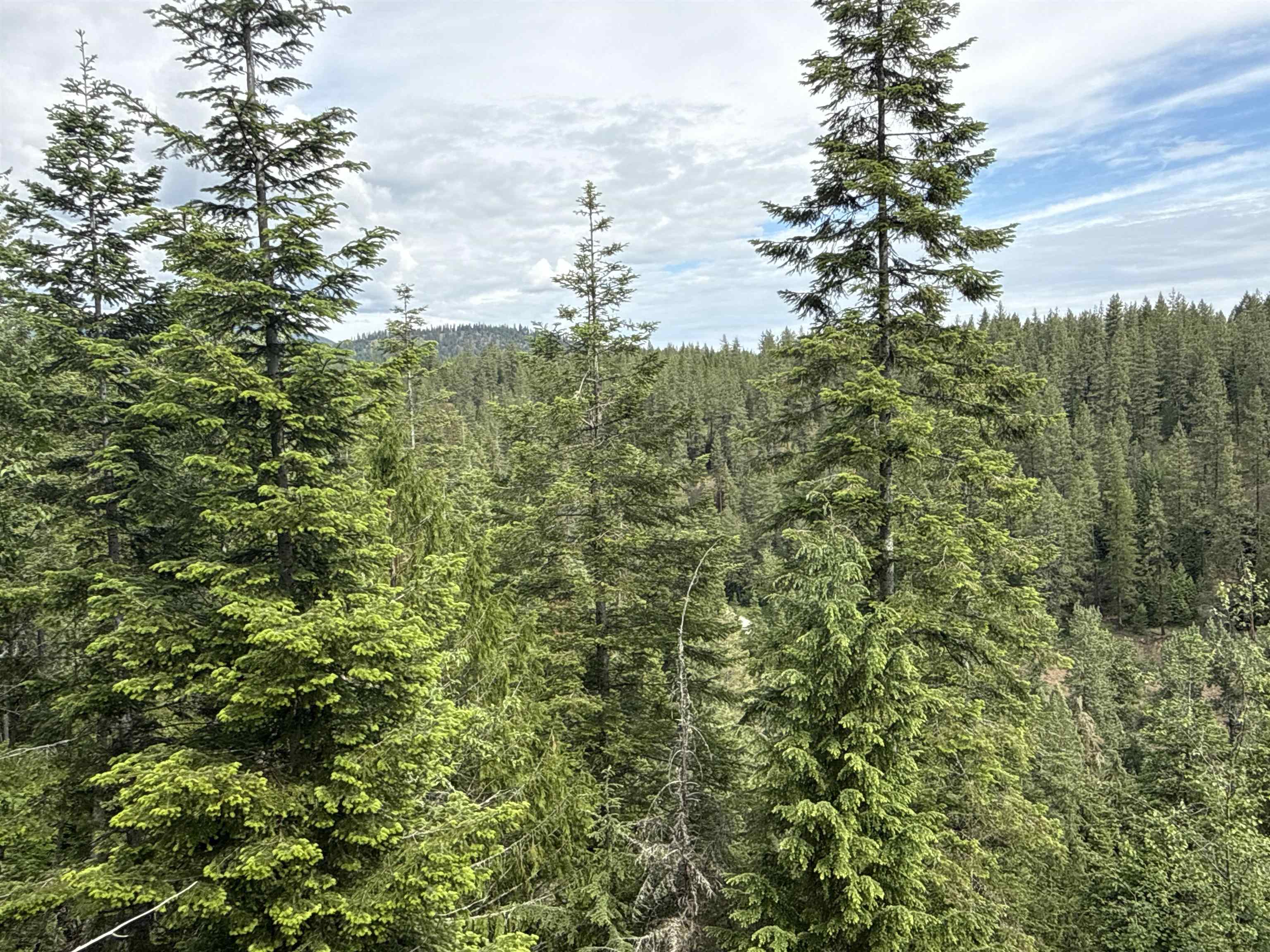 NKA Deer Creek Rd - Photo 14