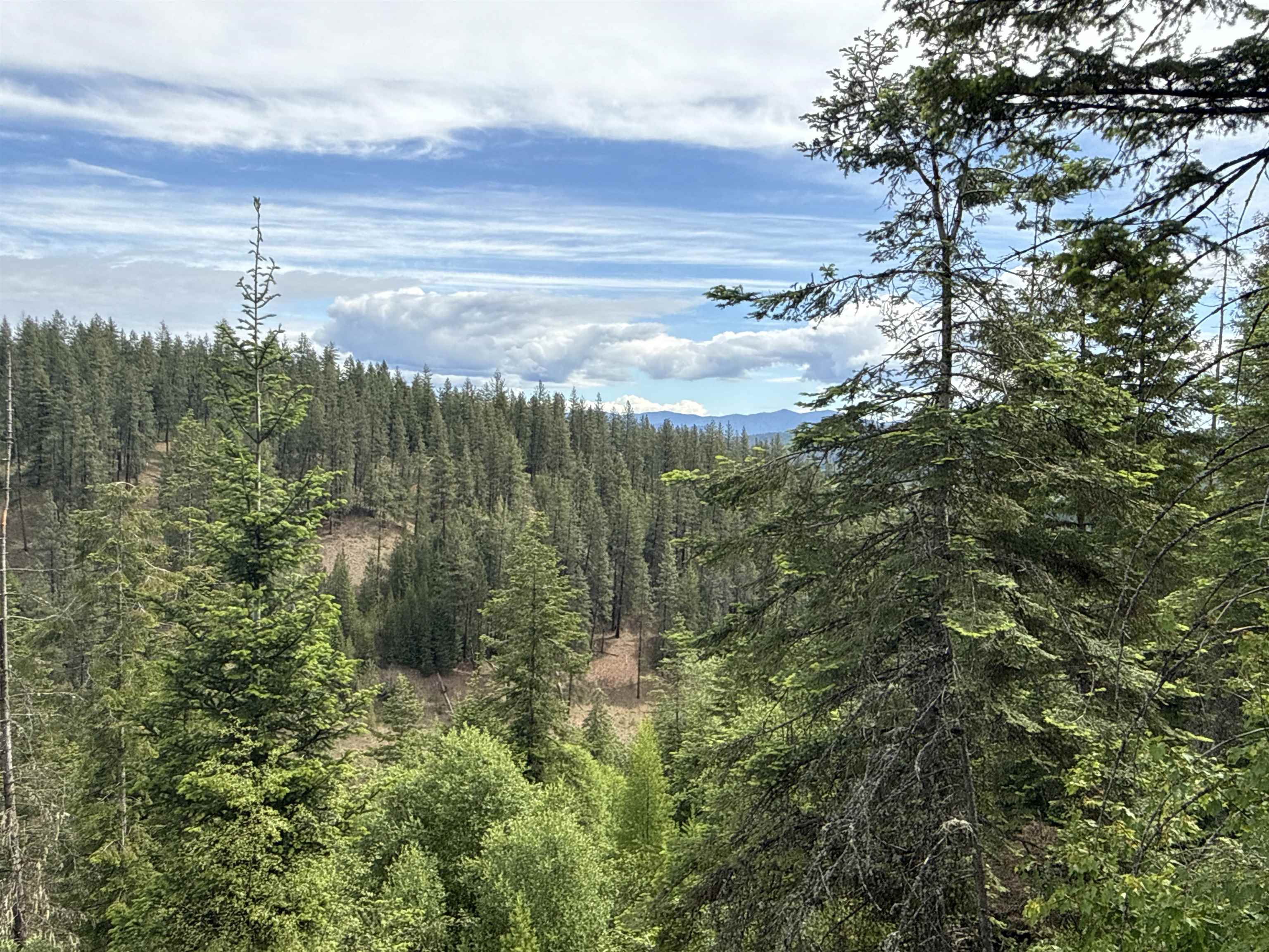 NKA Deer Creek Rd - Photo 15