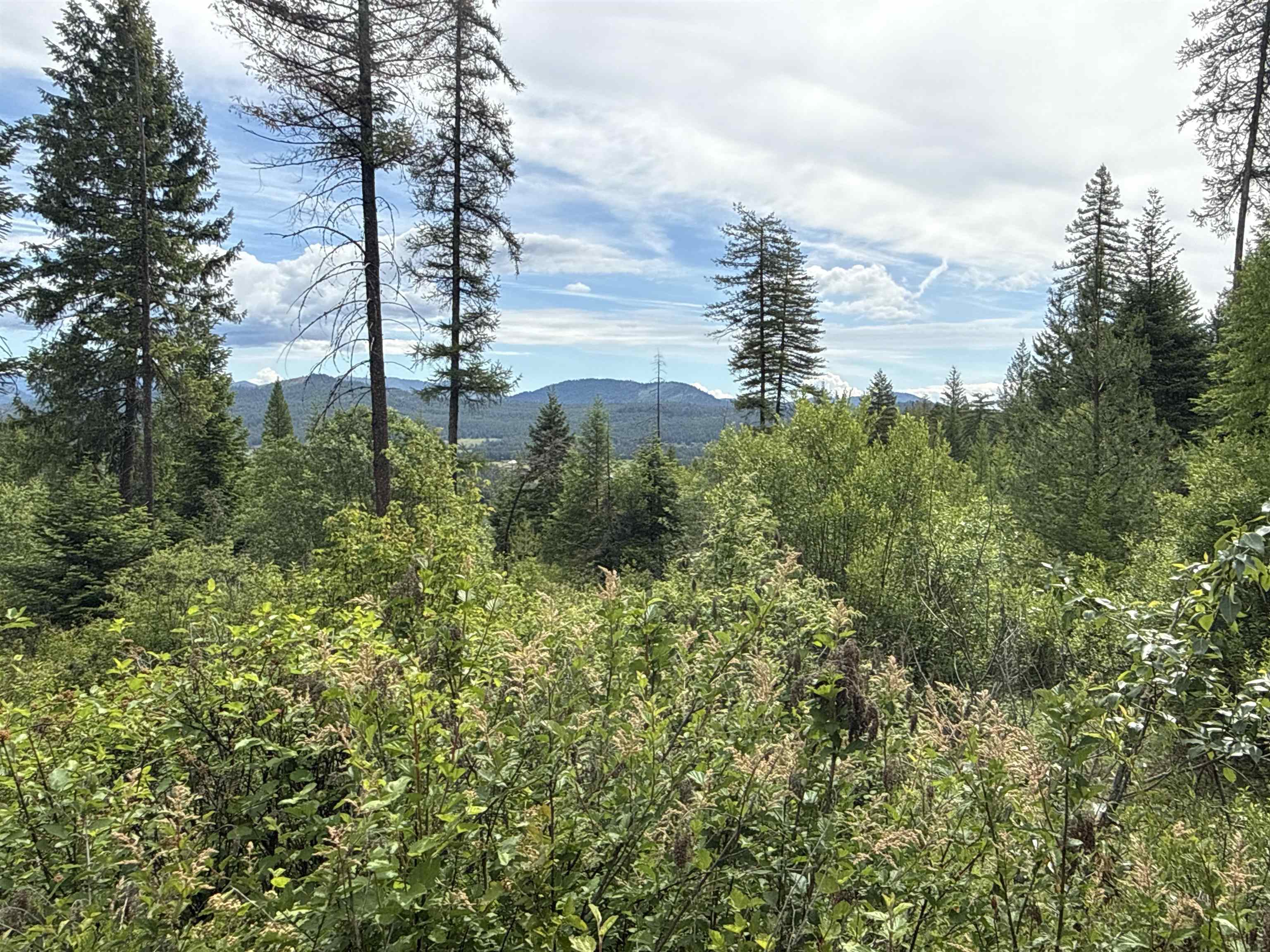 NKA Deer Creek Rd - Photo 16