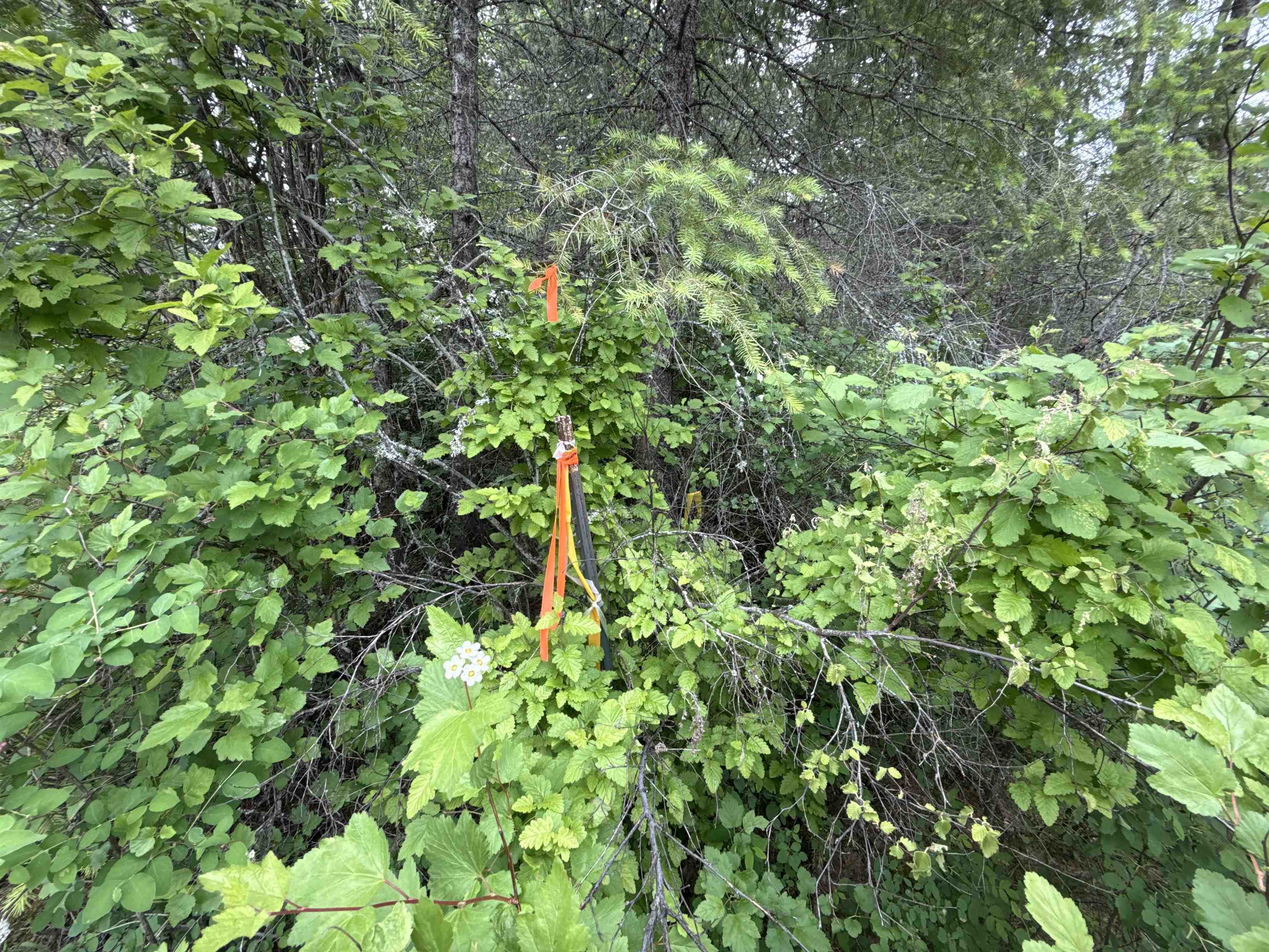 NKA Deer Creek Rd - Photo 18