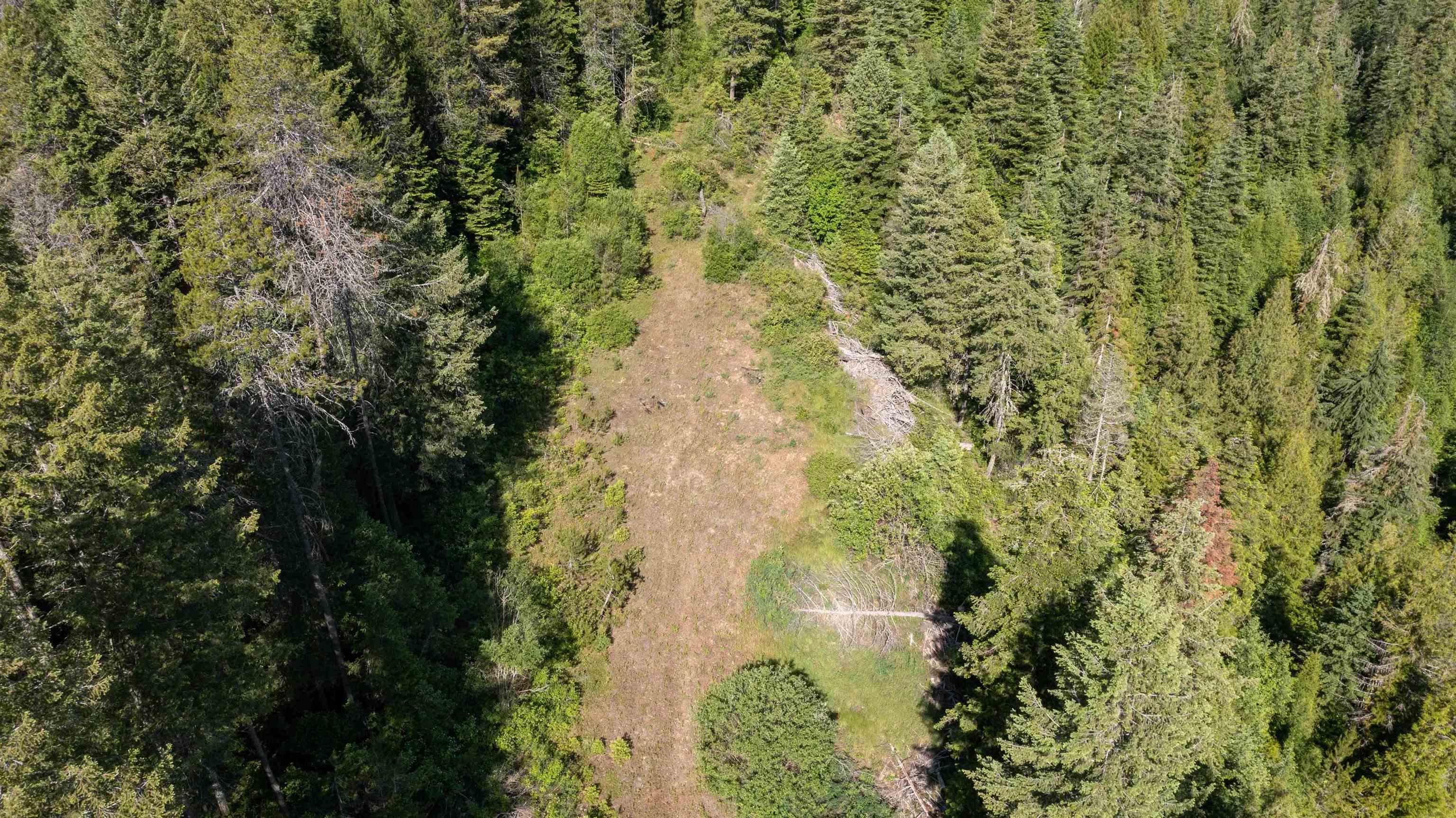 NKA Deer Creek Rd - Photo 21