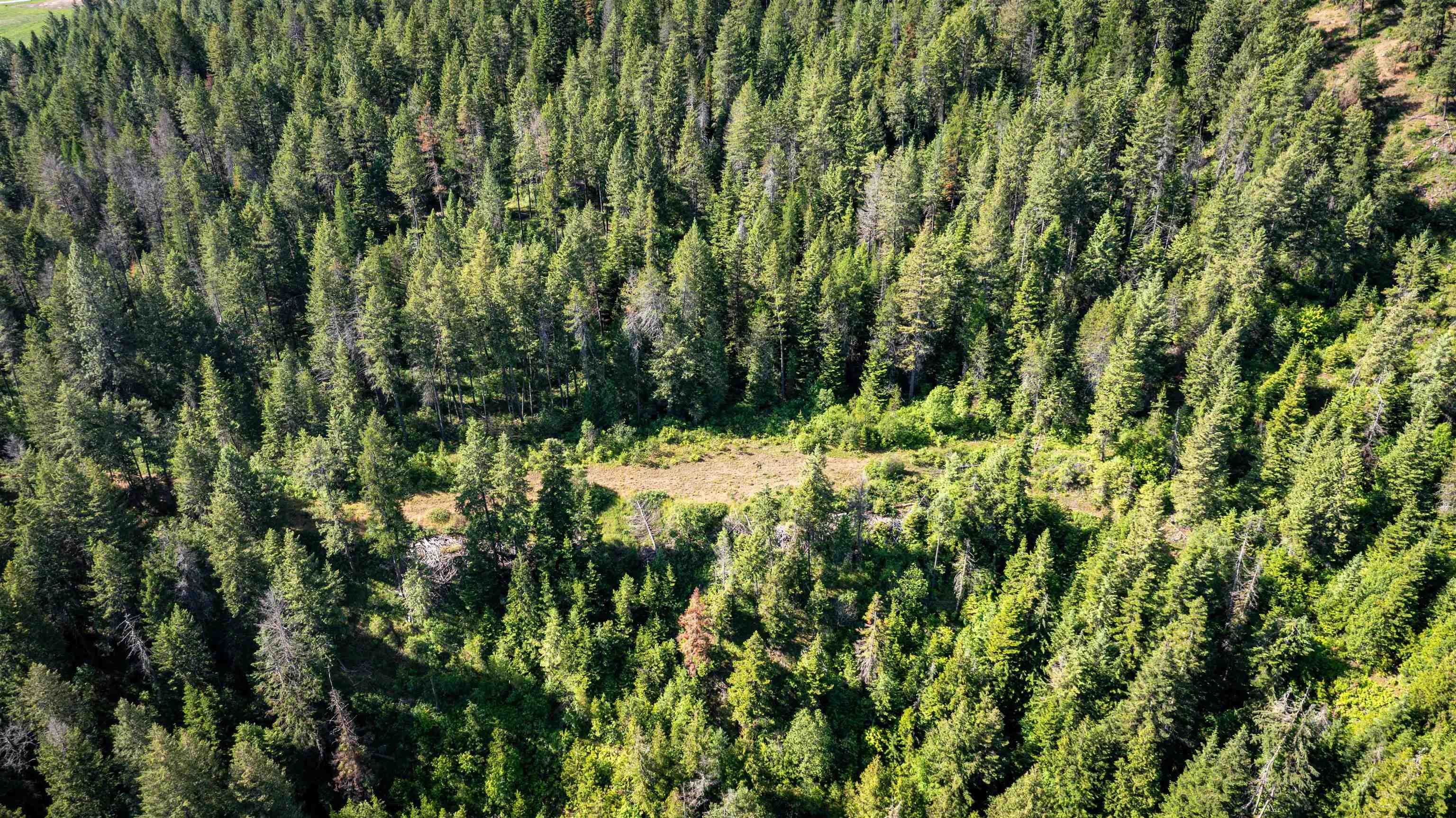 NKA Deer Creek Rd - Photo 22