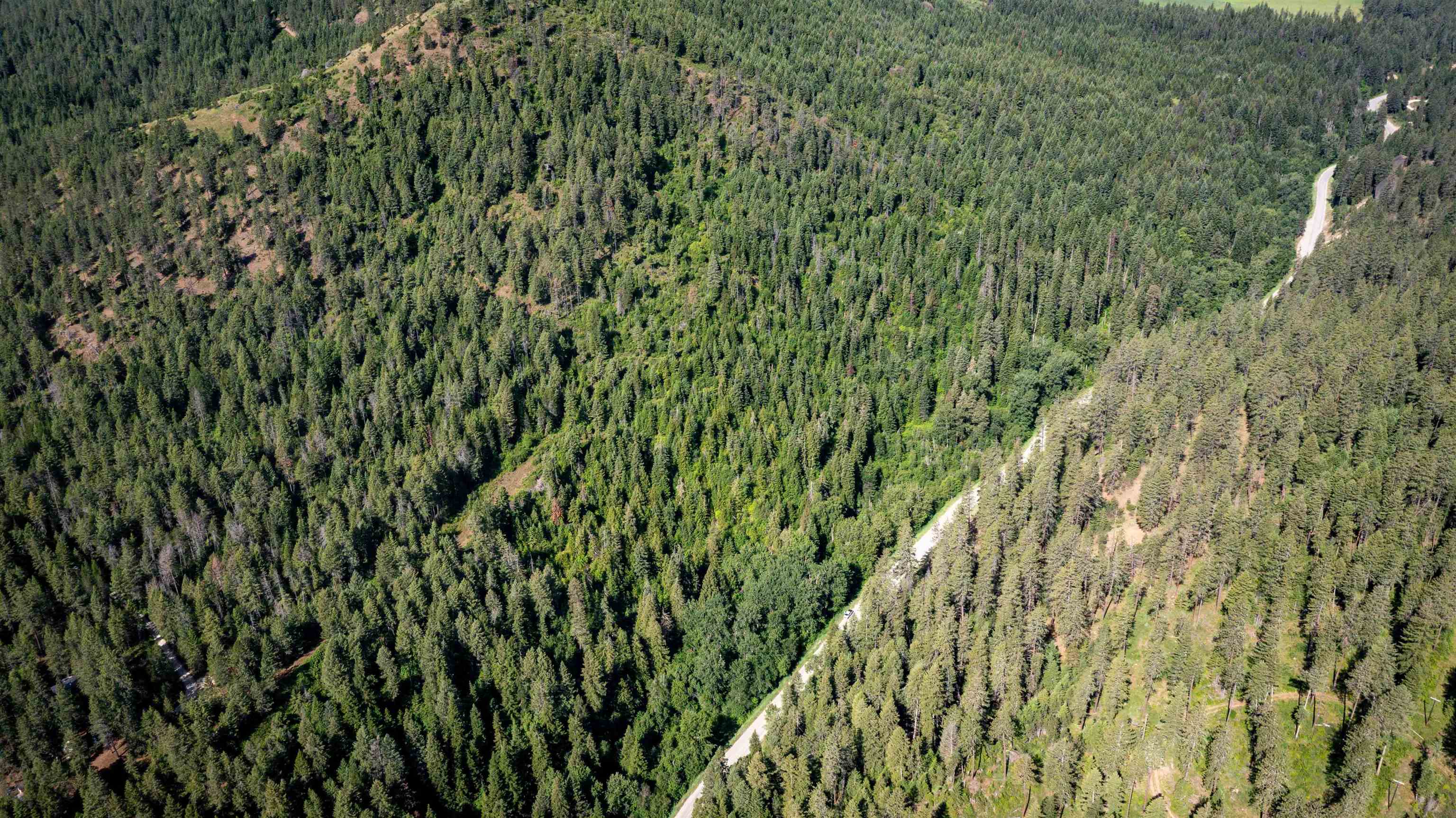 NKA Deer Creek Rd - Photo 28