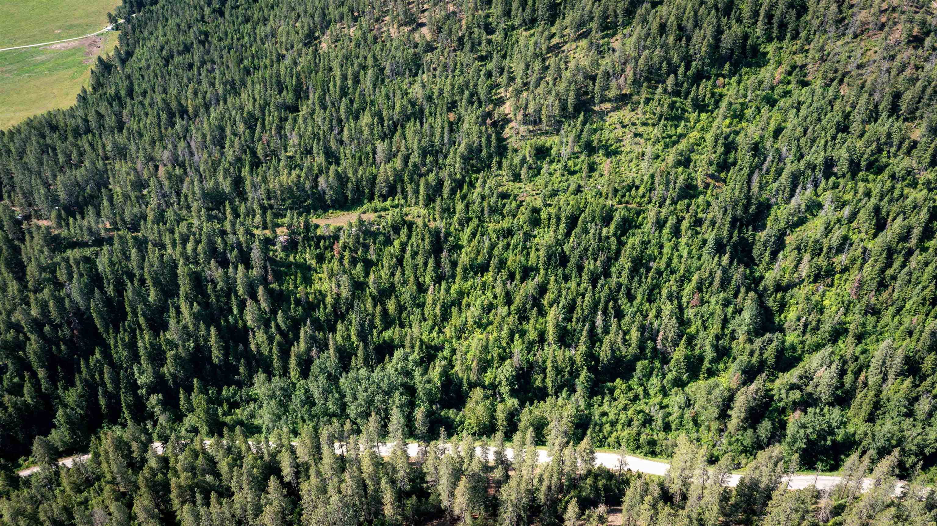 NKA Deer Creek Rd - Photo 29