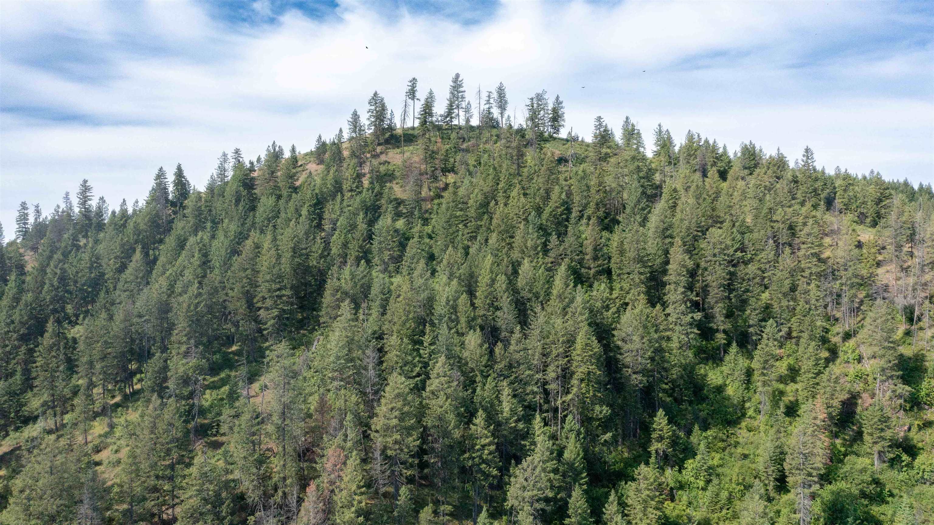 NKA Deer Creek Rd - Photo 36