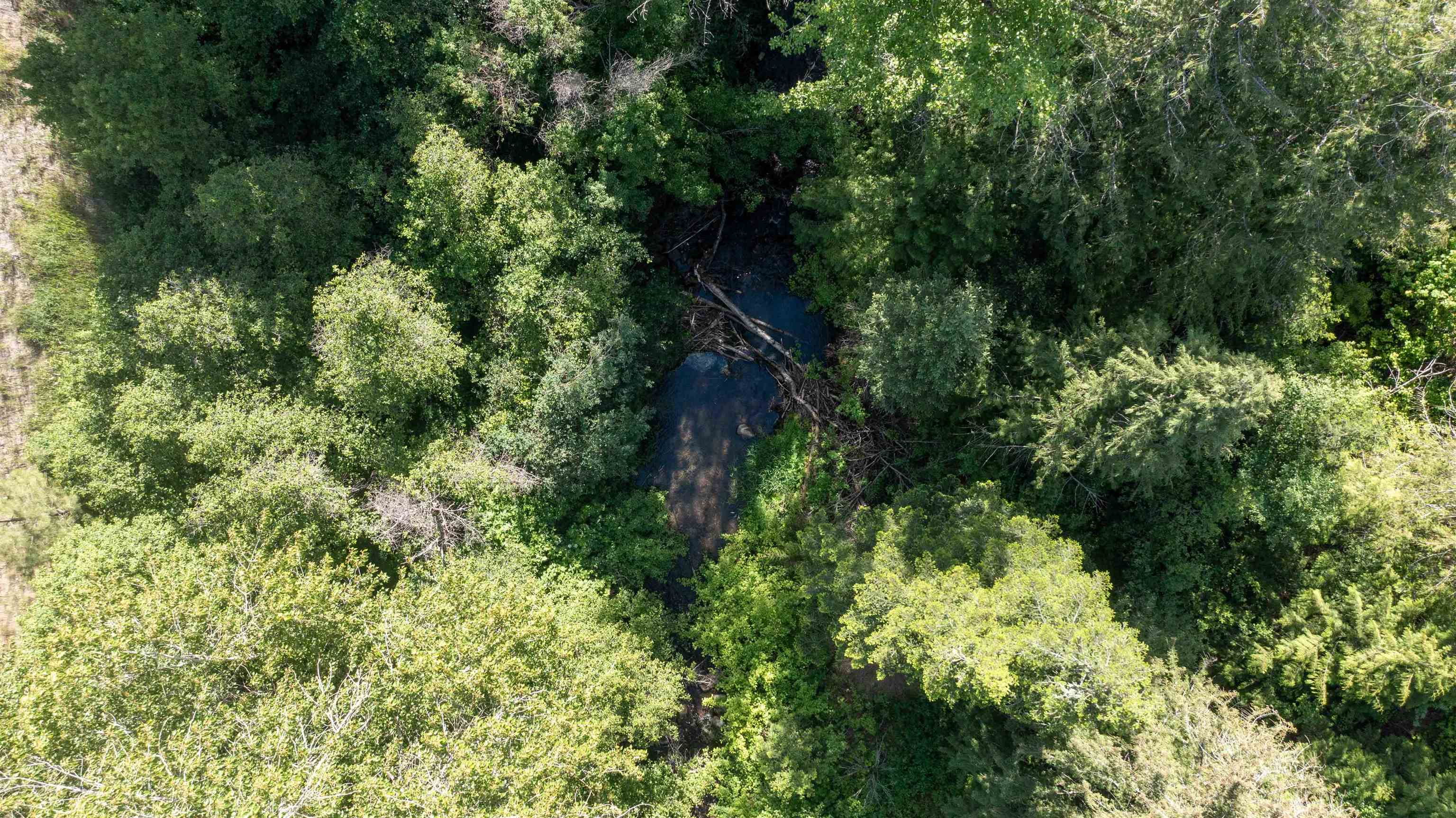 NKA Deer Creek Rd - Photo 24