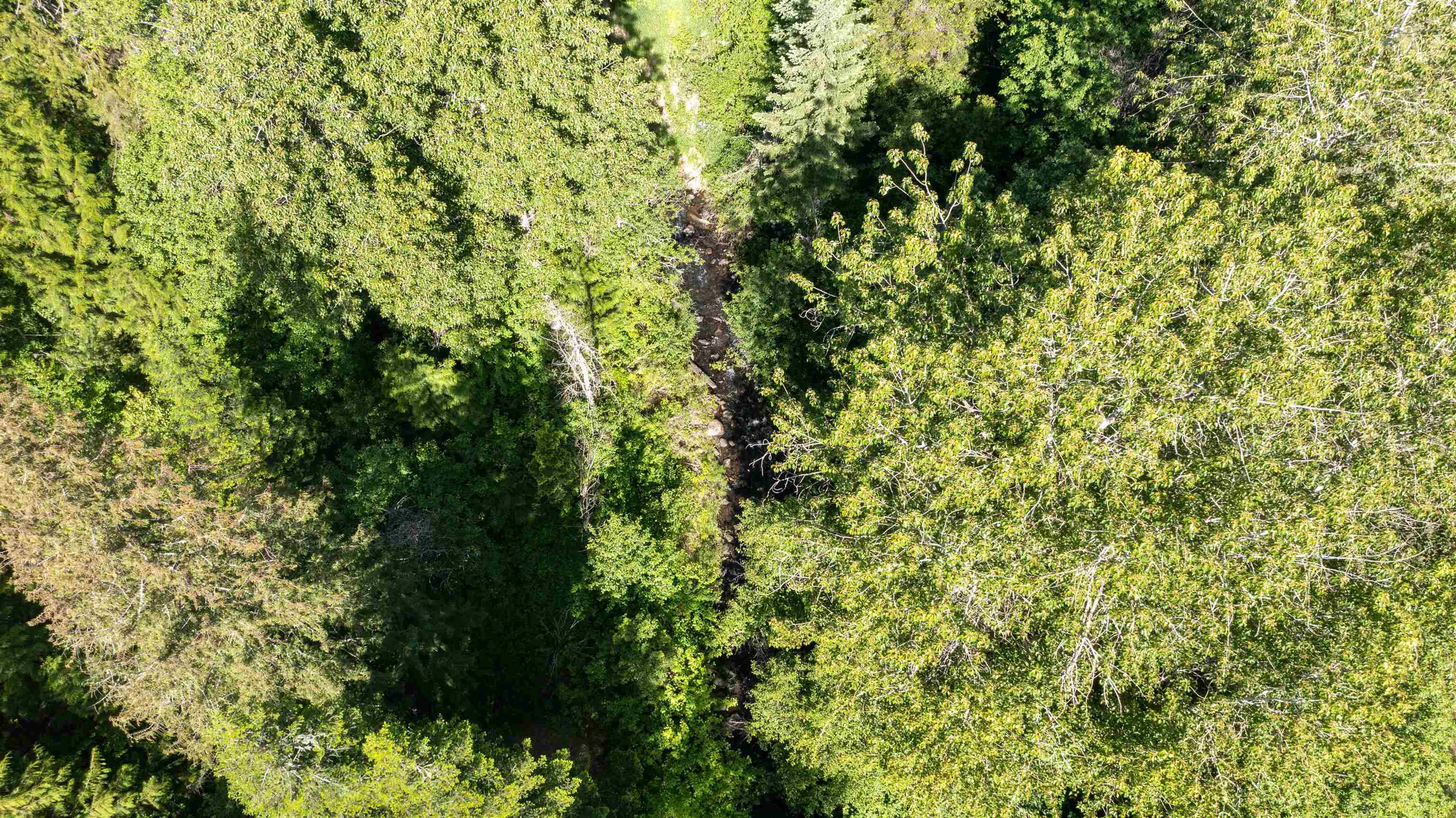 NKA Deer Creek Rd - Photo 25