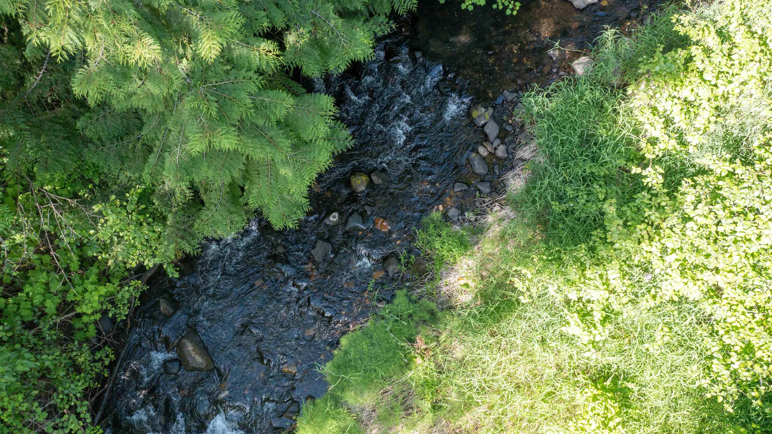 NKA Deer Creek Rd - Photo 26