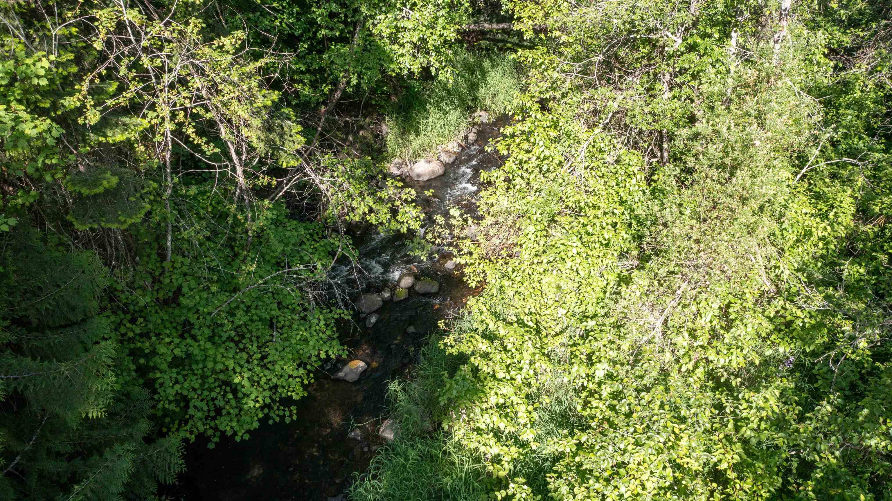 NKA Deer Creek Rd - Photo 27