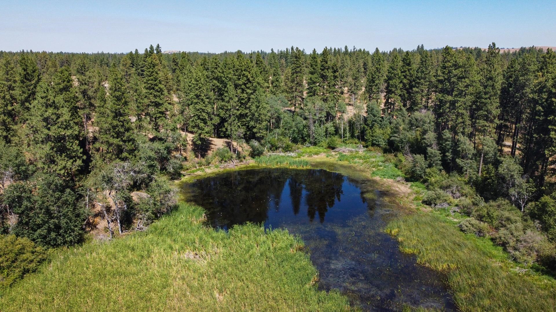 Near 12523 S Clear Lake Rd - Photo 18