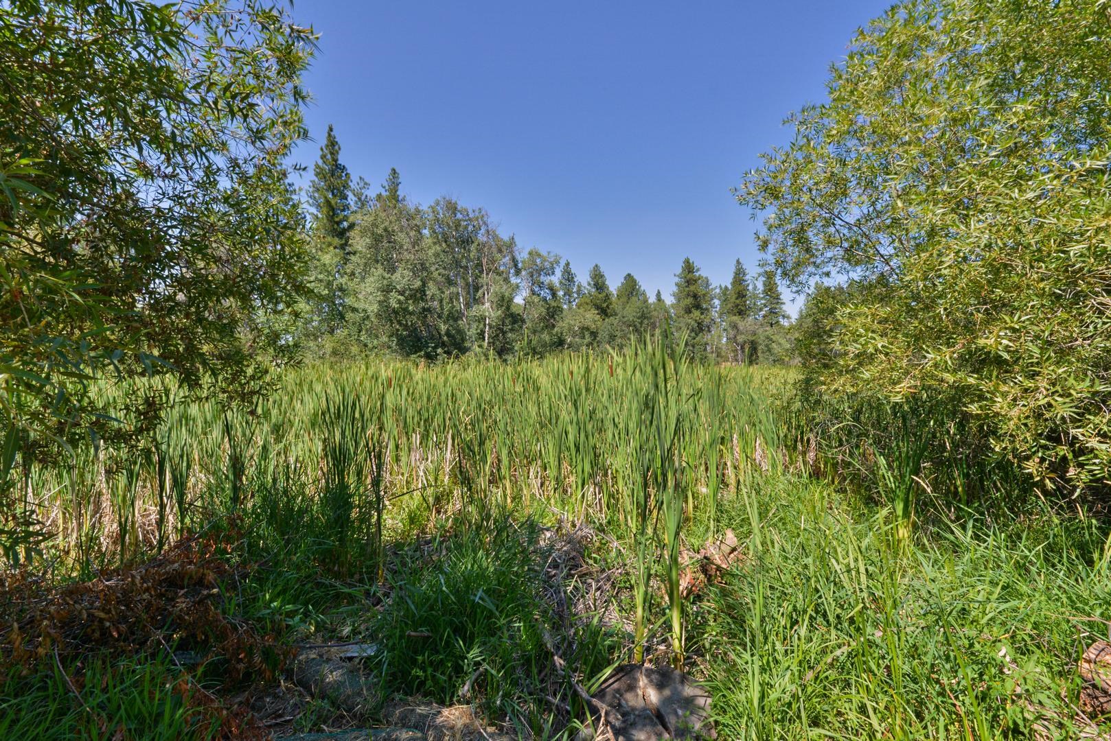 Near 12523 S Clear Lake Rd - Photo 8