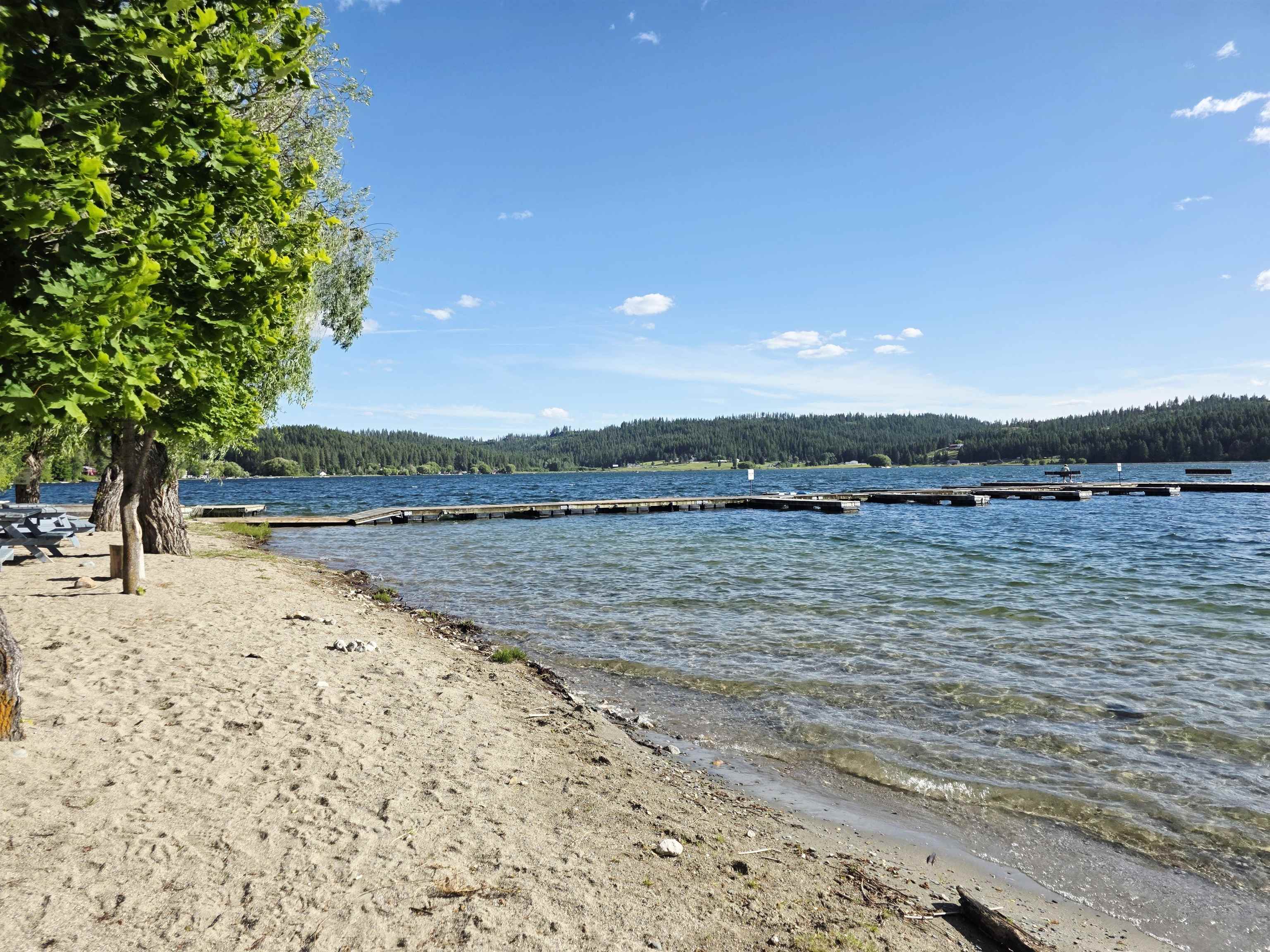 33116 Van Dissel Rd - Photo 48