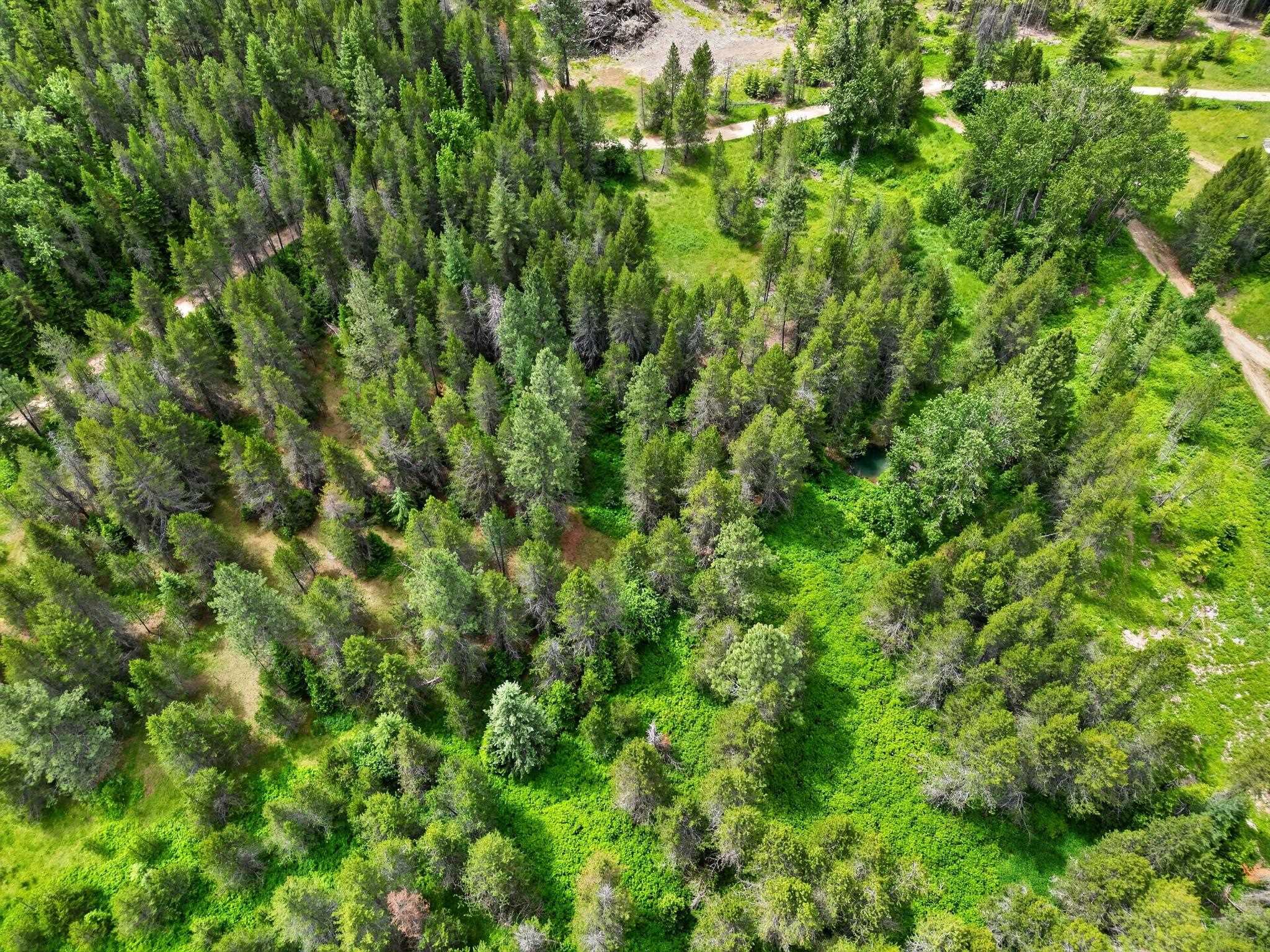 600 Huntley Ln - Photo 9