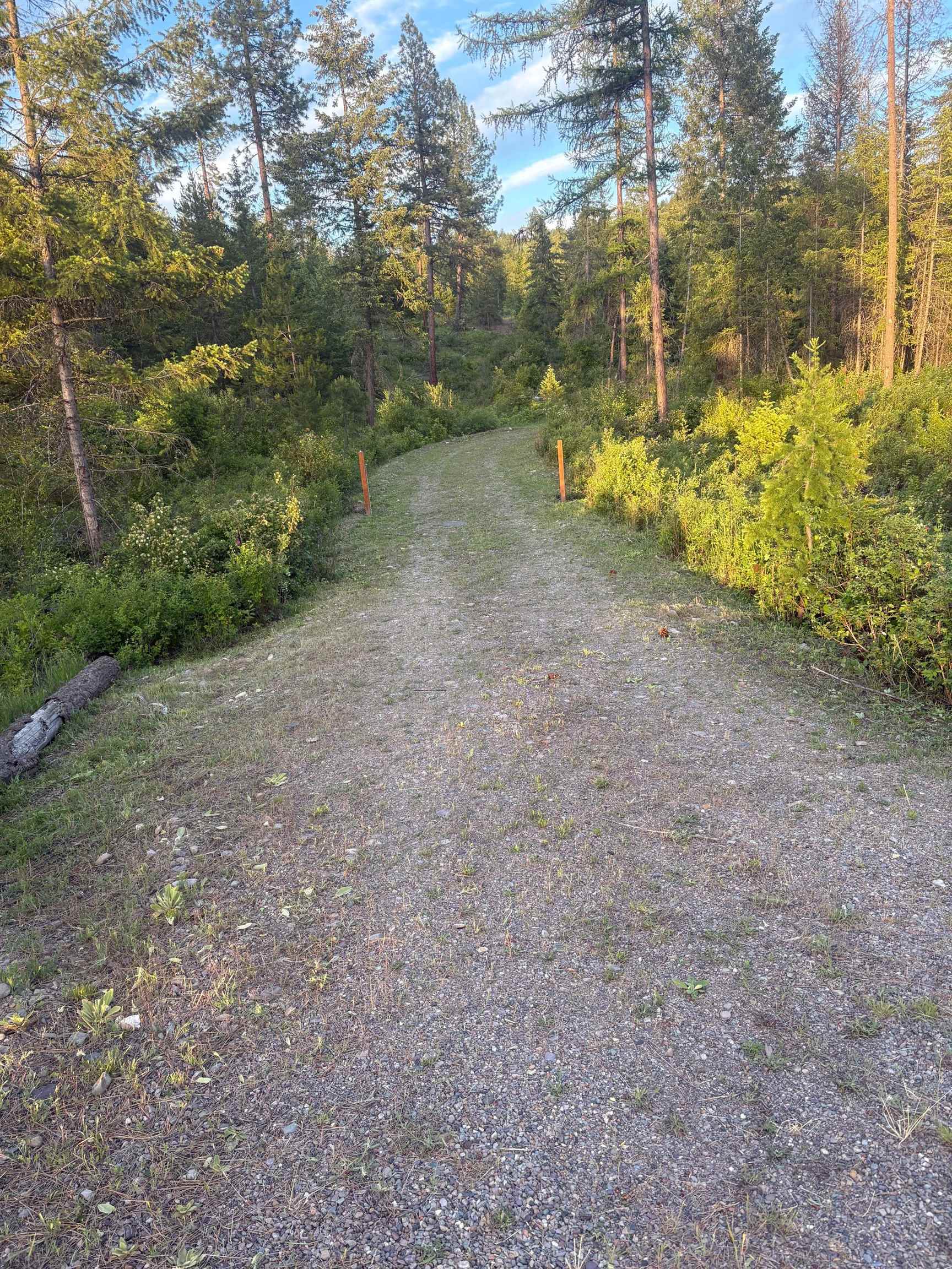 NKN Bead Lake Road Rd - Photo 26