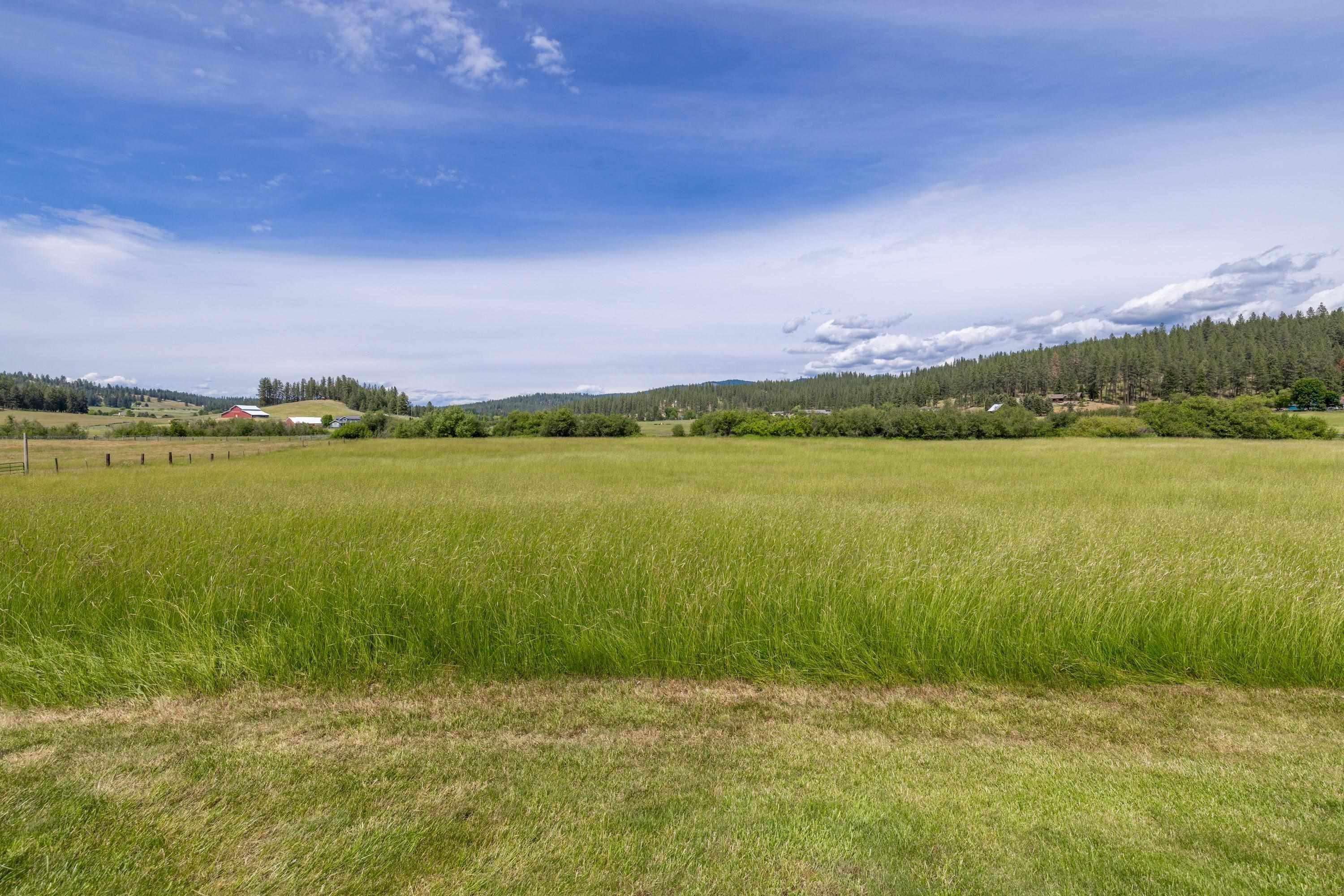 16101 N Mount Spokane Park Dr - Photo 32