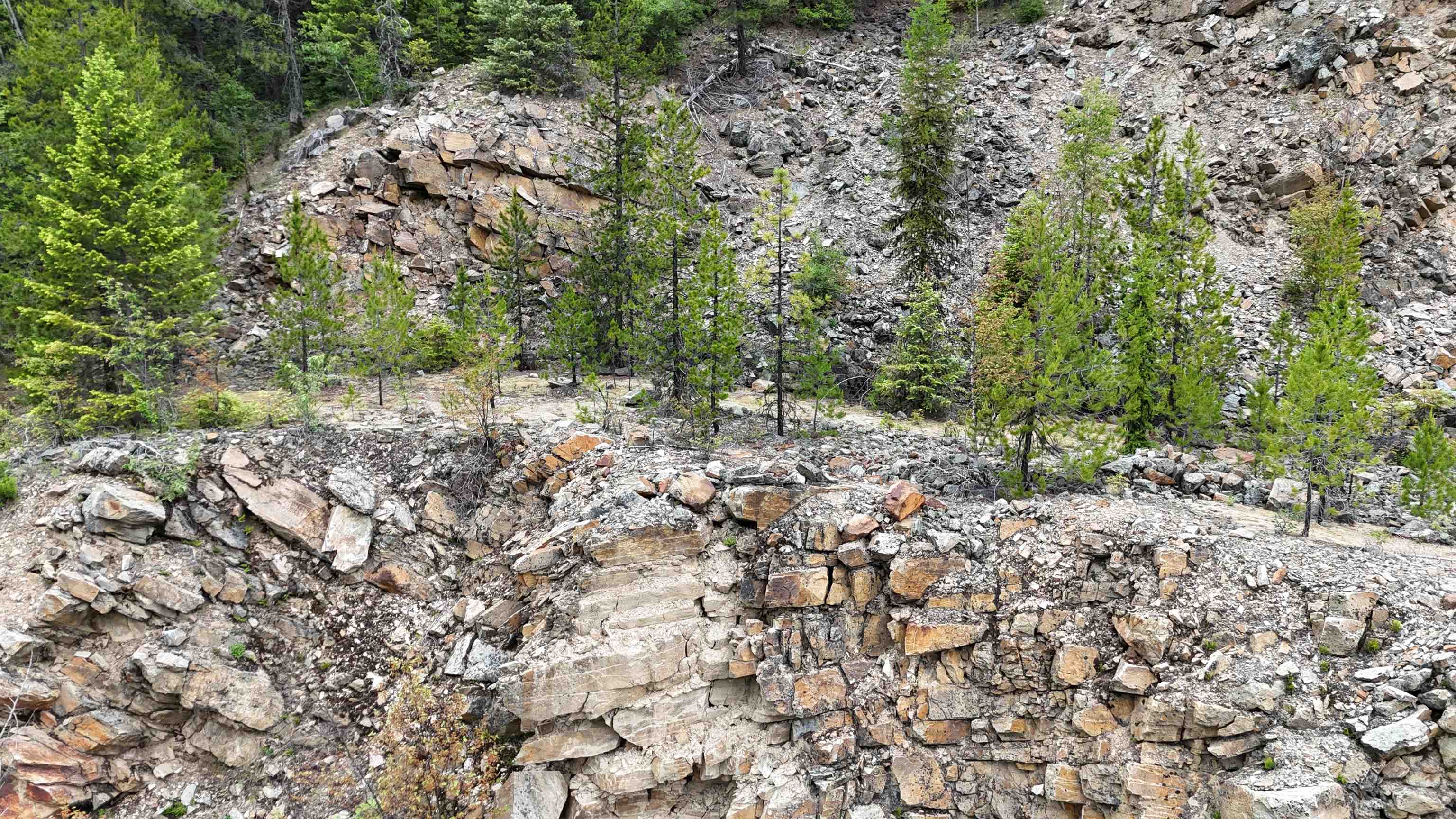 NNA Boundary Rd - Photo 23