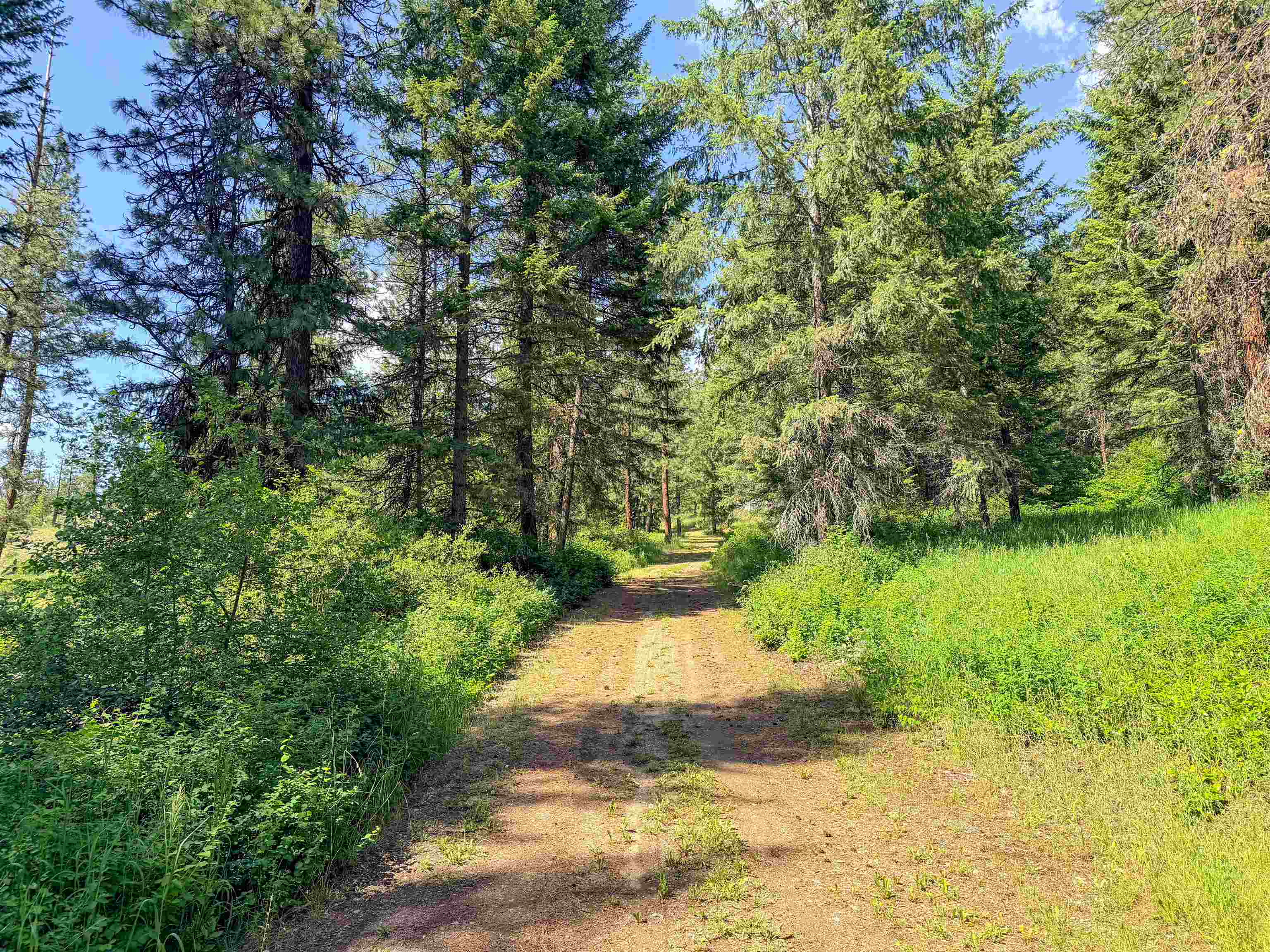 3434-A Rockcut Rd - Photo 8