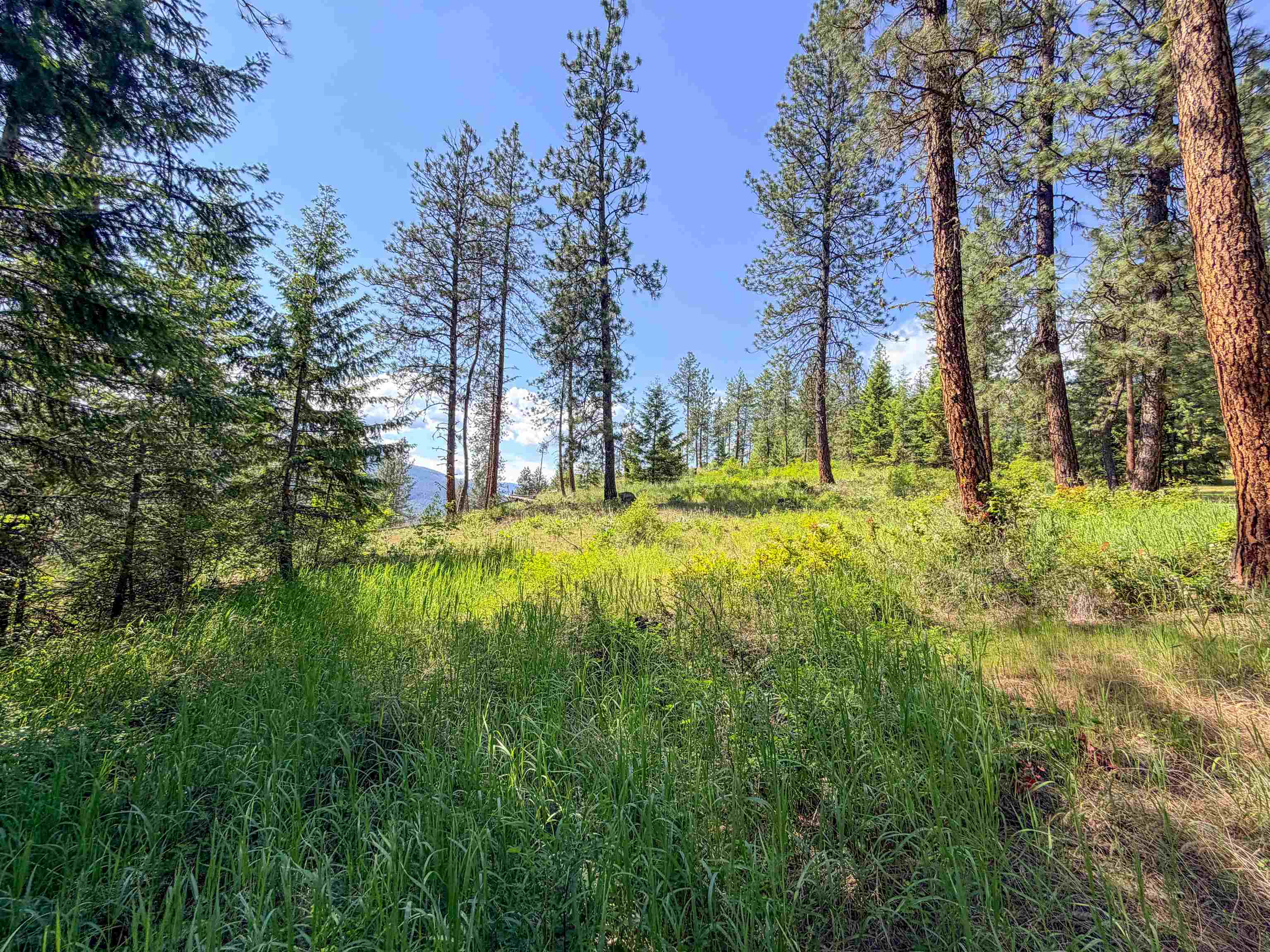 3434-A Rockcut Rd - Photo 9