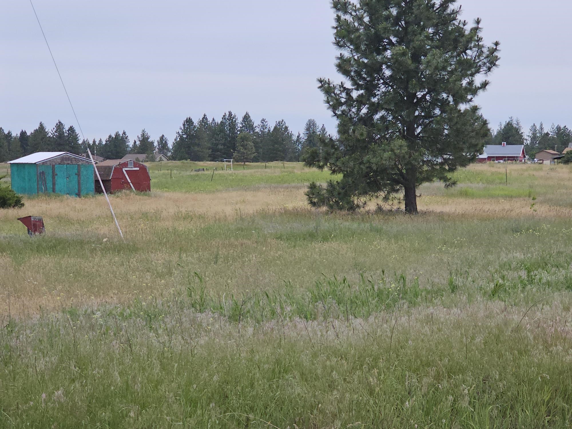 77xx N Rambo Rd - Photo 1
