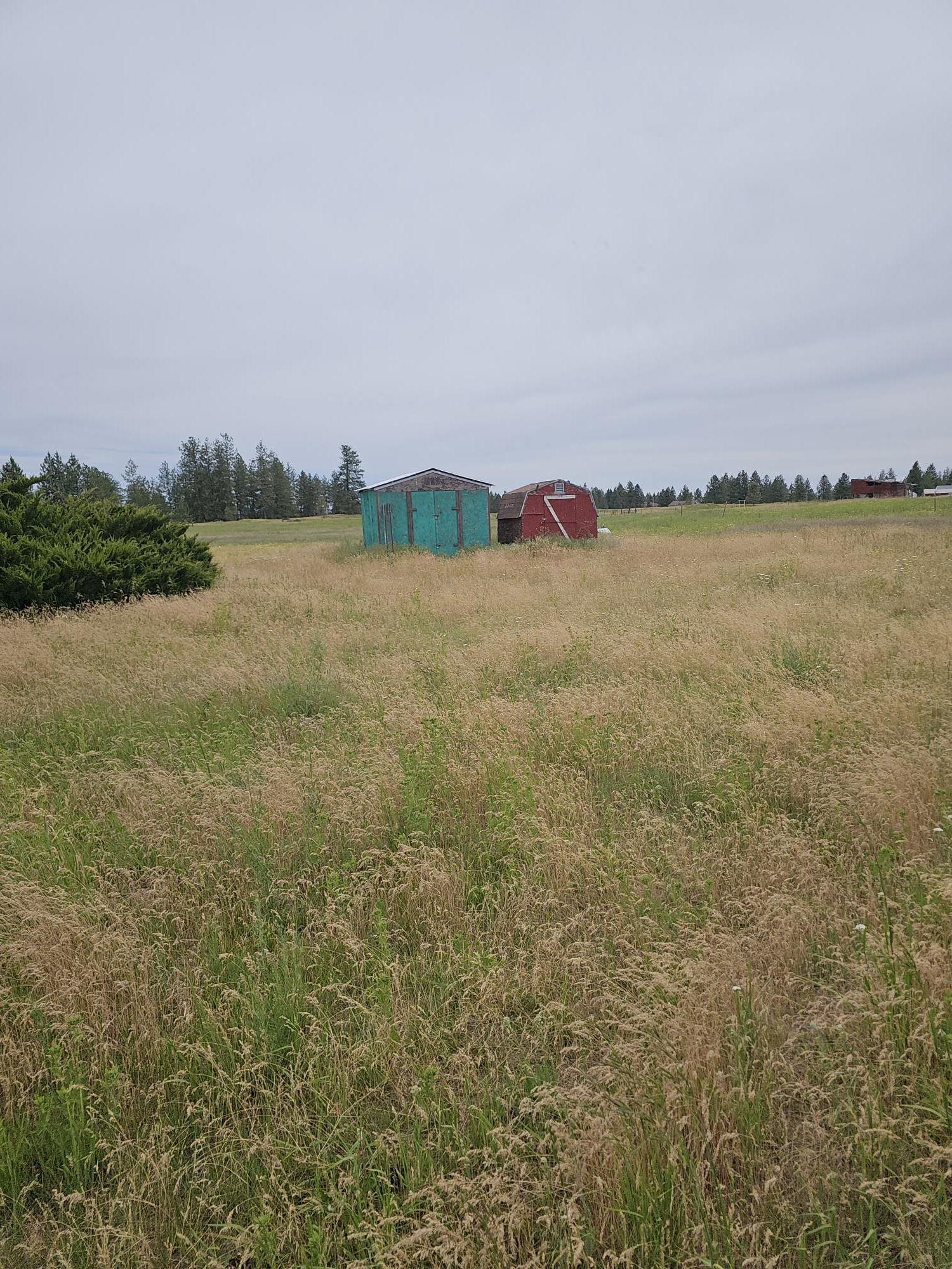 77xx N Rambo Rd - Photo 4