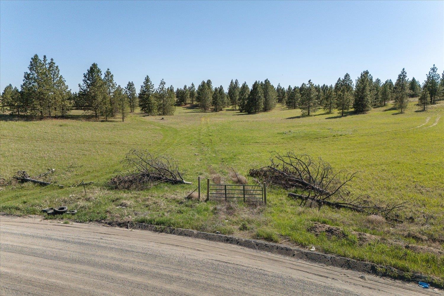 00XX Rambo Rd, Lot 8 - Photo 8
