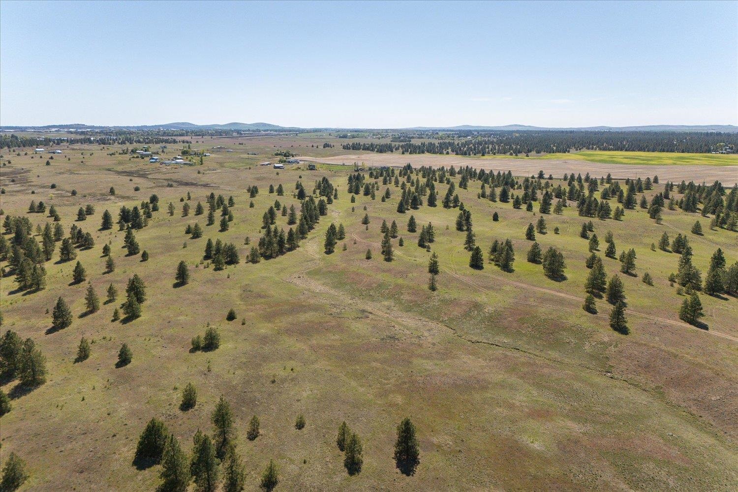 00XX Rambo Rd, Lot 8 - Photo 14