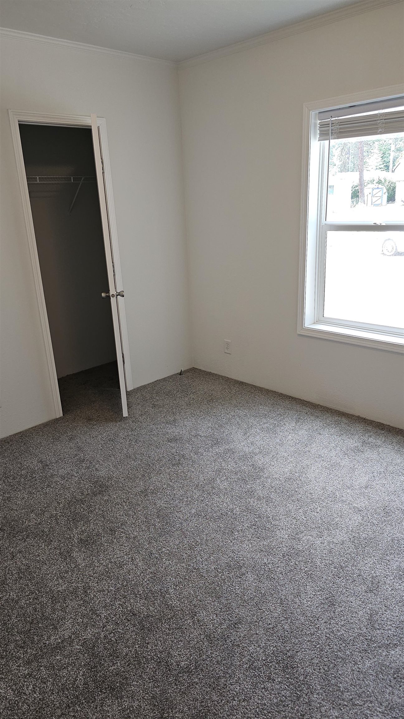 5 Columbia Dr - Photo 6