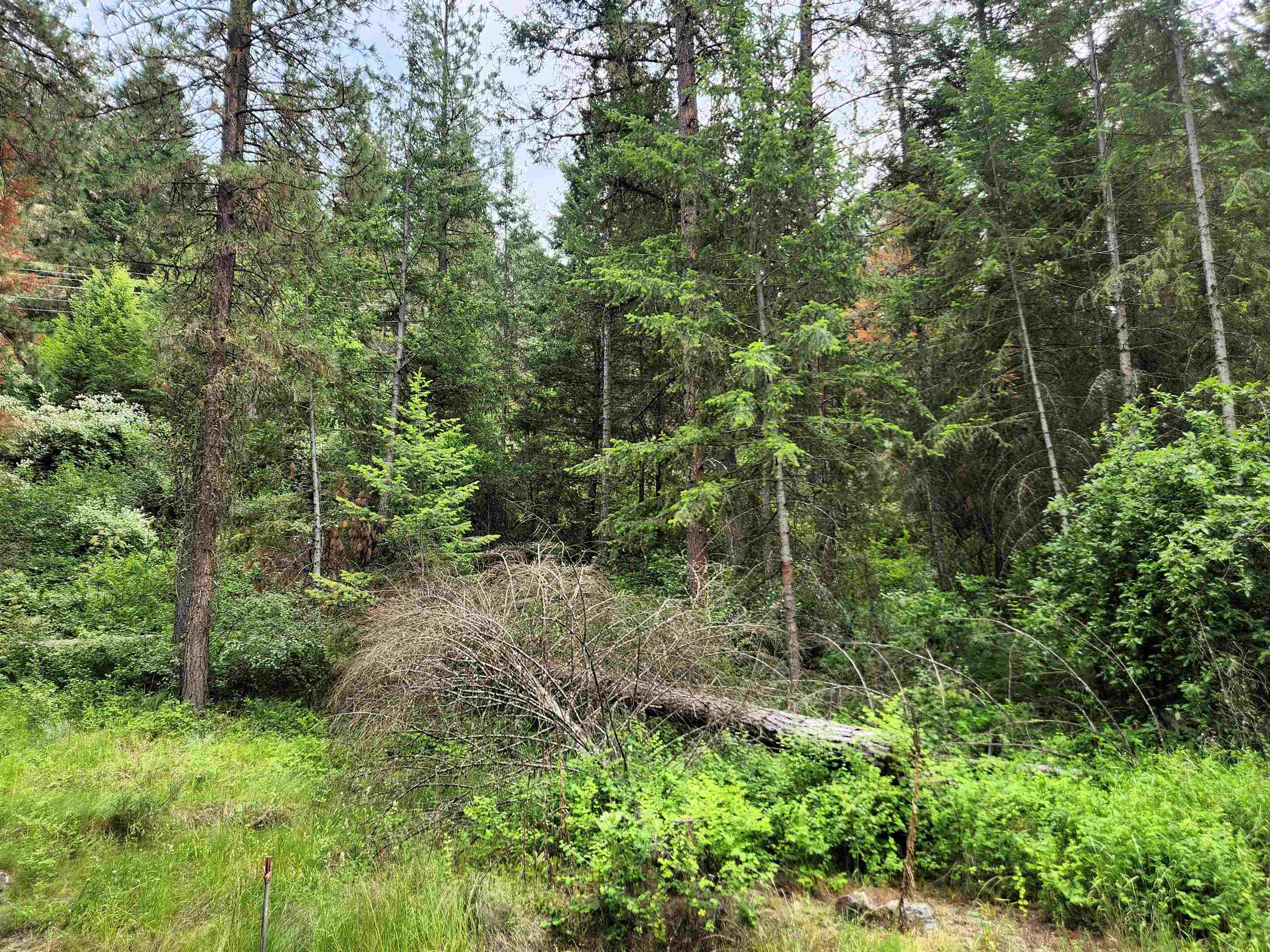 3827 B 25 S. Hwy - Photo 19