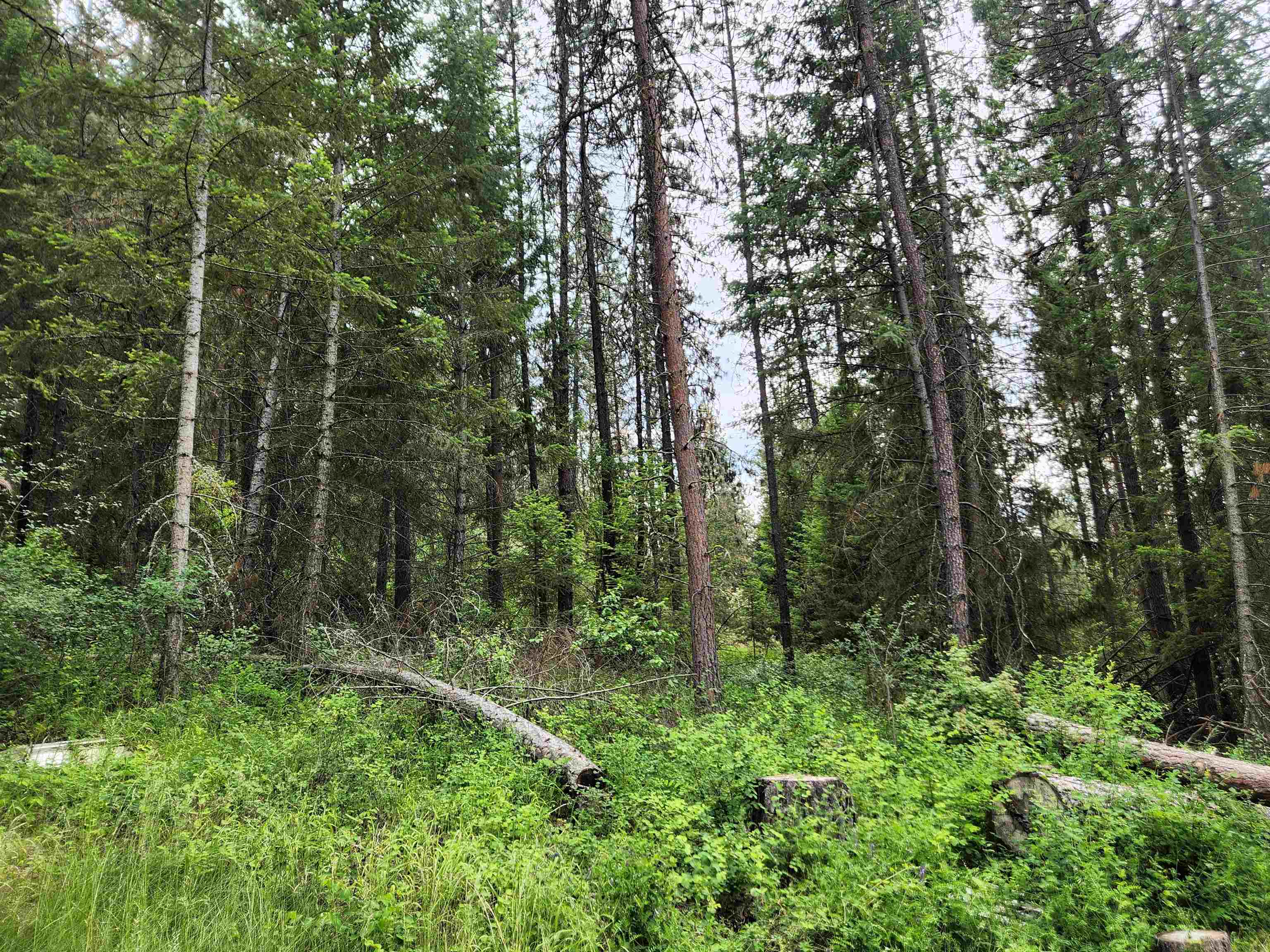 3827 B 25 S. Hwy - Photo 20