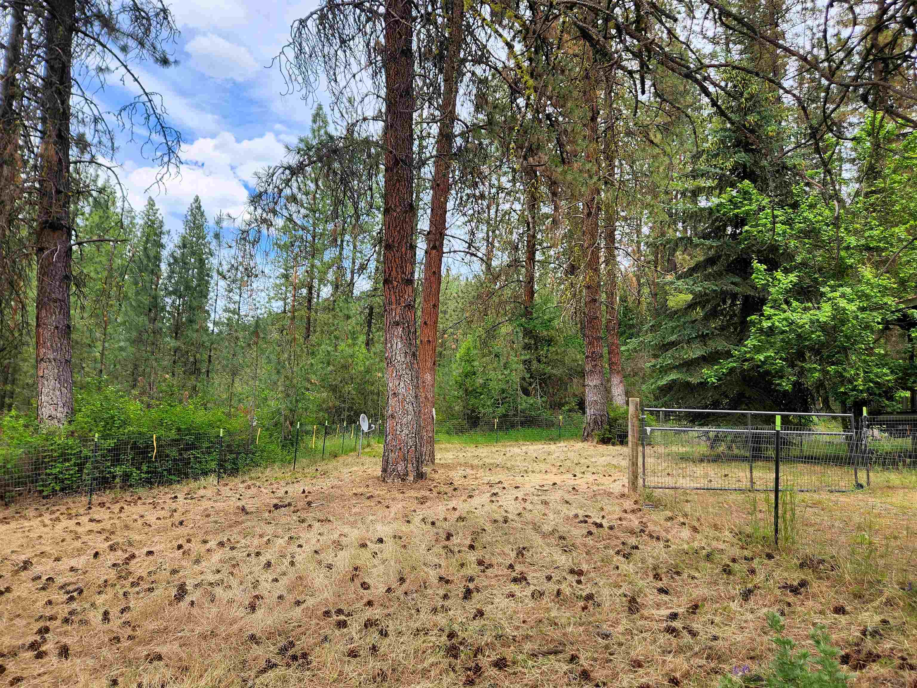3827 B 25 S. Hwy - Photo 21