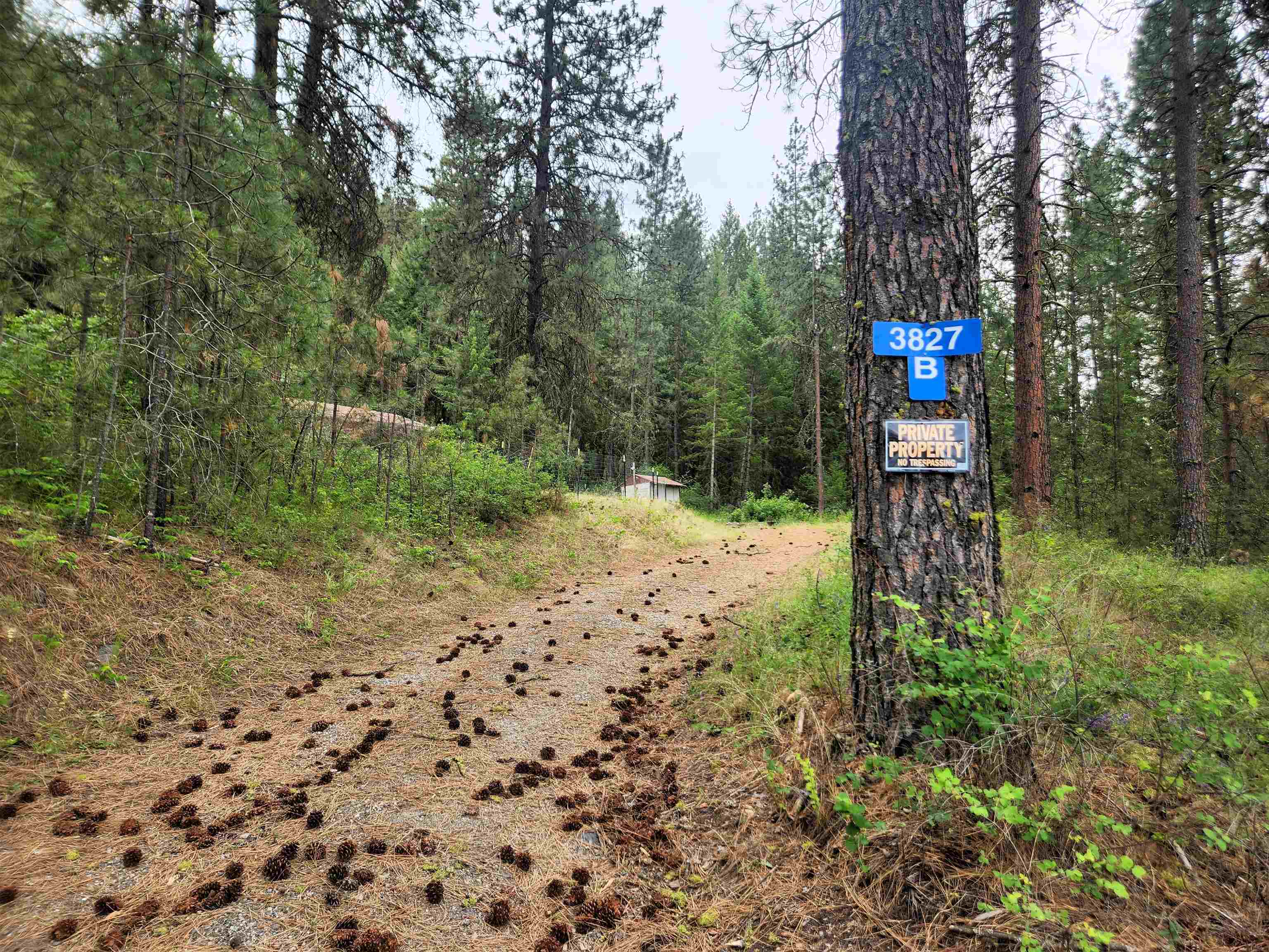 3827 B 25 S. Hwy - Photo 24