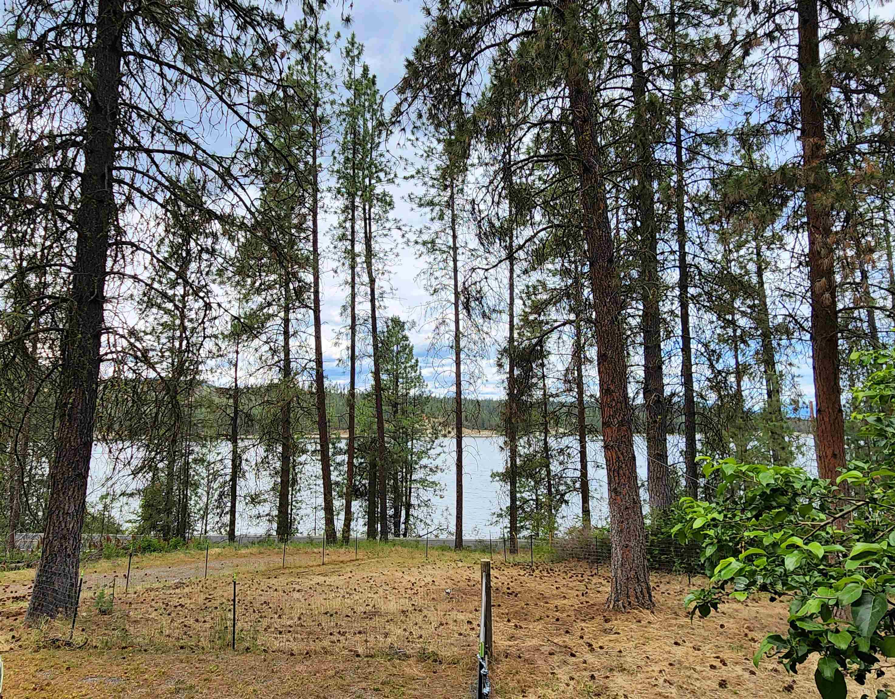 3827 B 25 S. Hwy - Photo 26