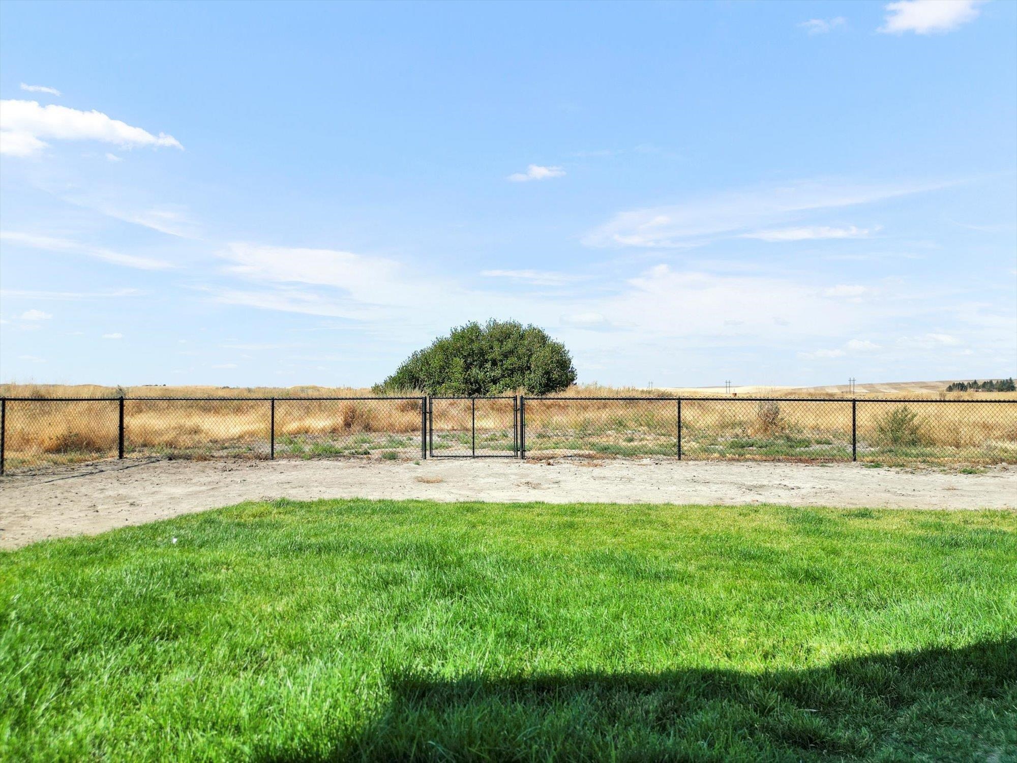 28141 N Wild Rose Ln - Photo 26