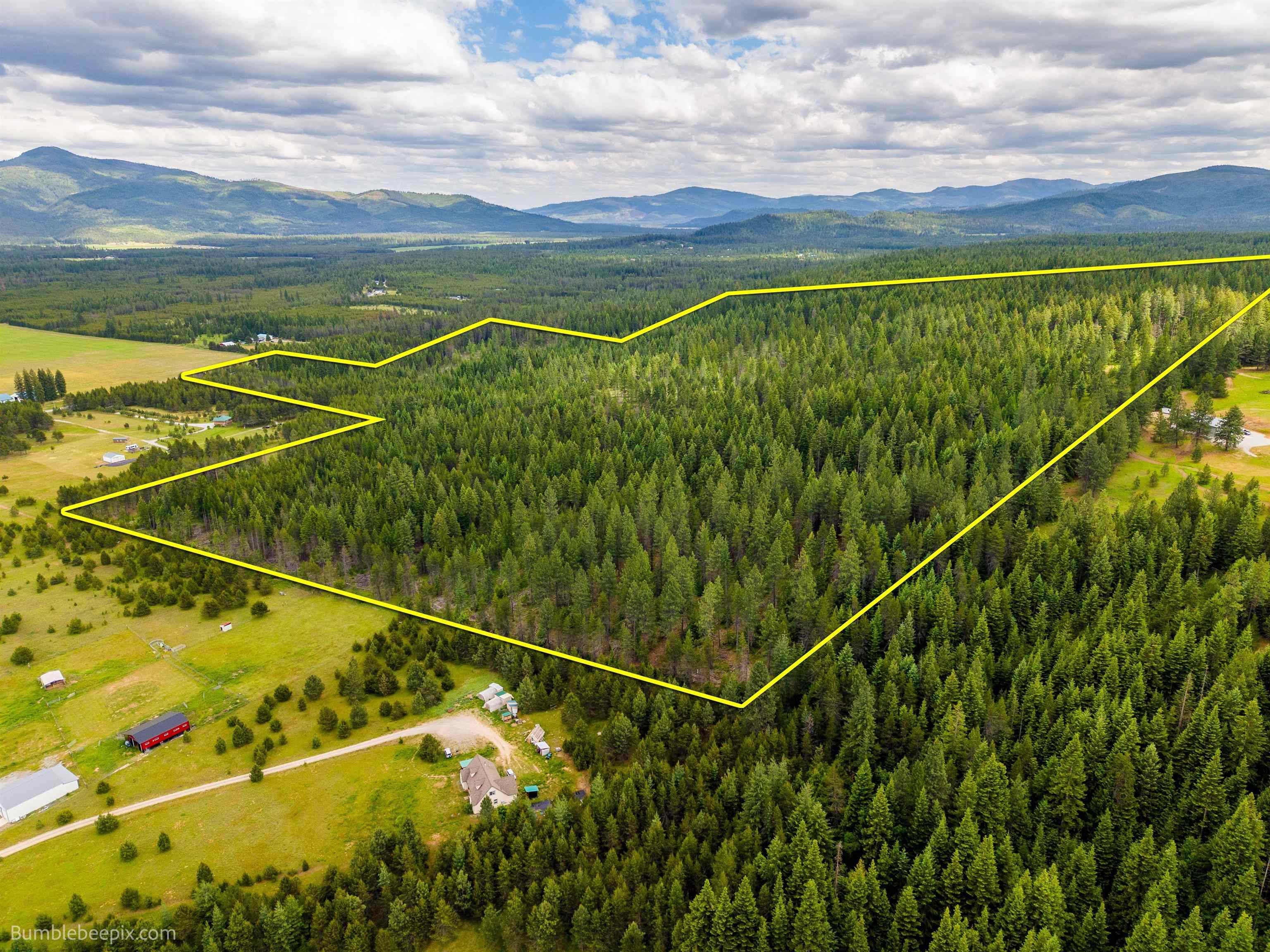 2902 Spring Valley Rd - Photo 2