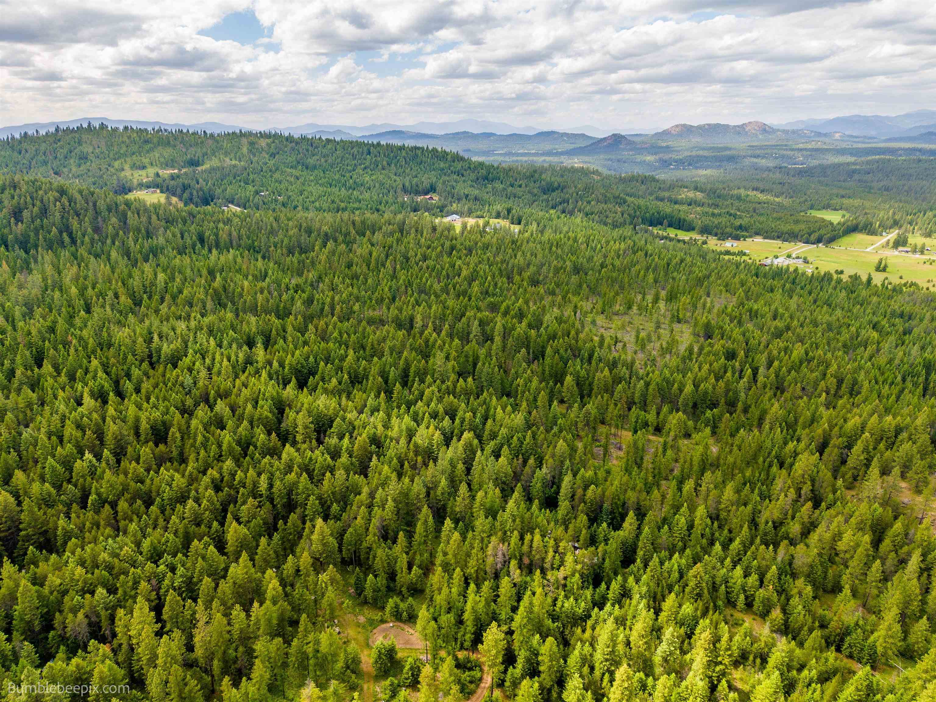 2902 Spring Valley Rd - Photo 13