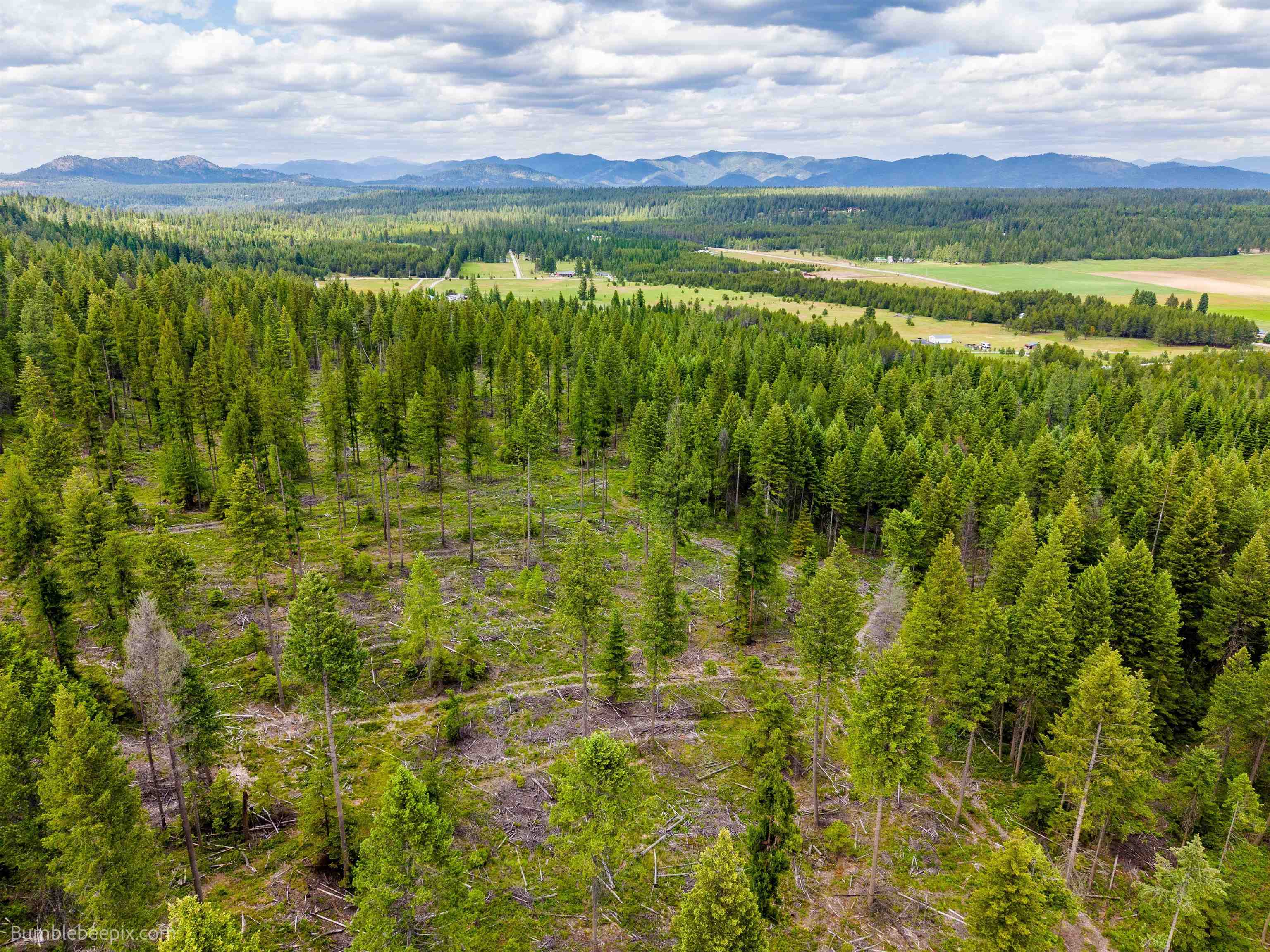 2902 Spring Valley Rd - Photo 30