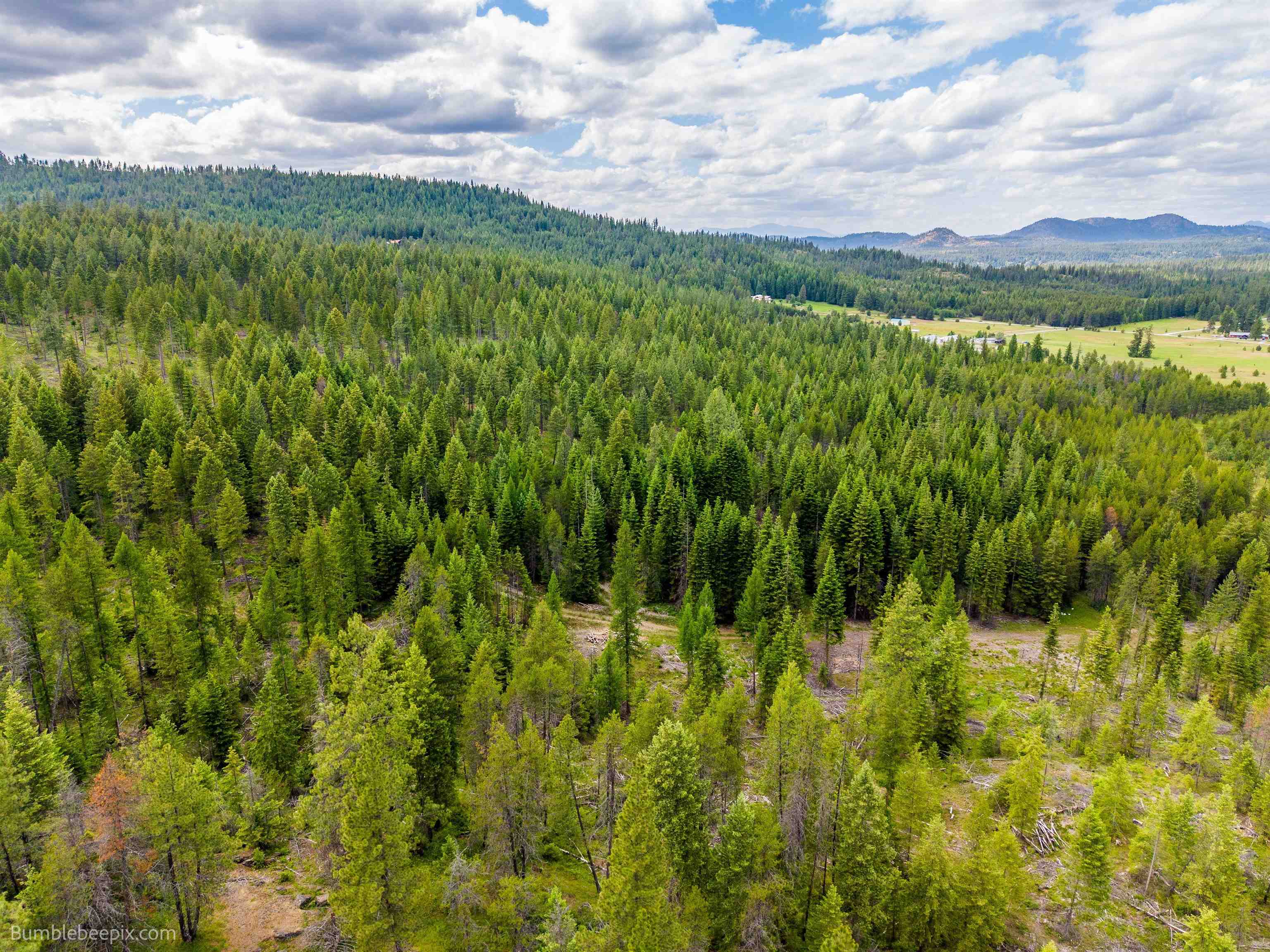 2902 Spring Valley Rd - Photo 33