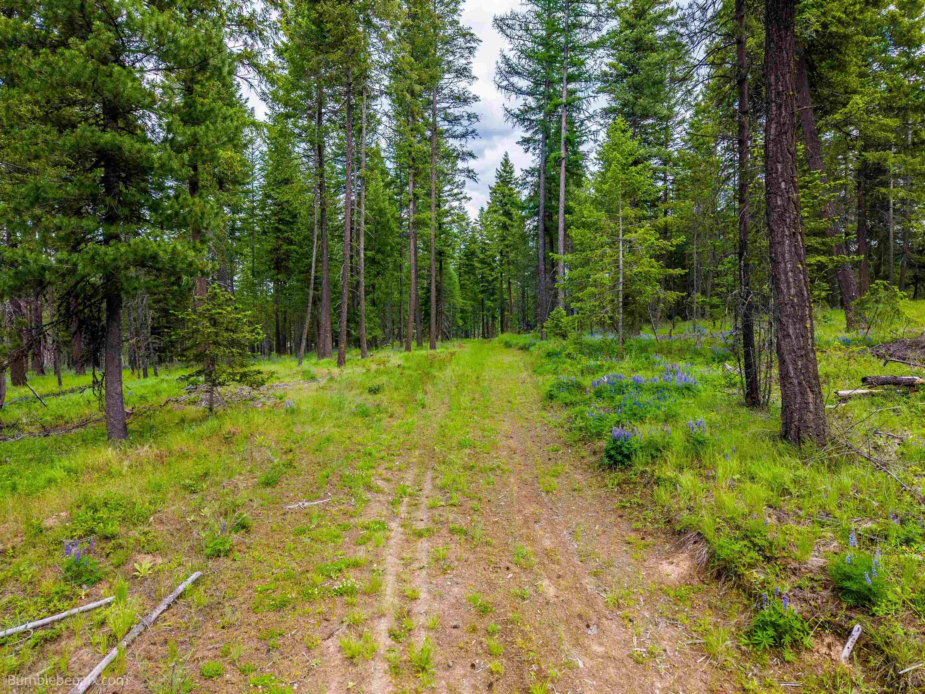 2902 Spring Valley Rd - Photo 34