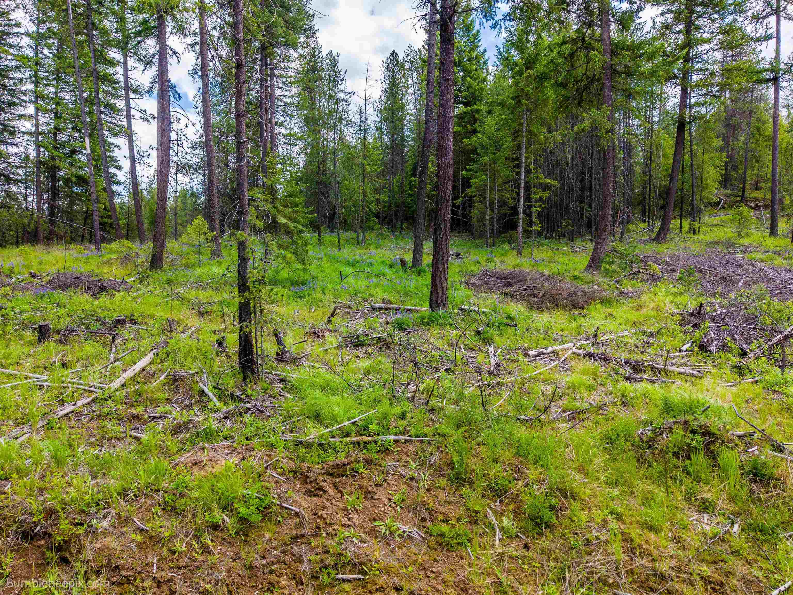 2902 Spring Valley Rd - Photo 35