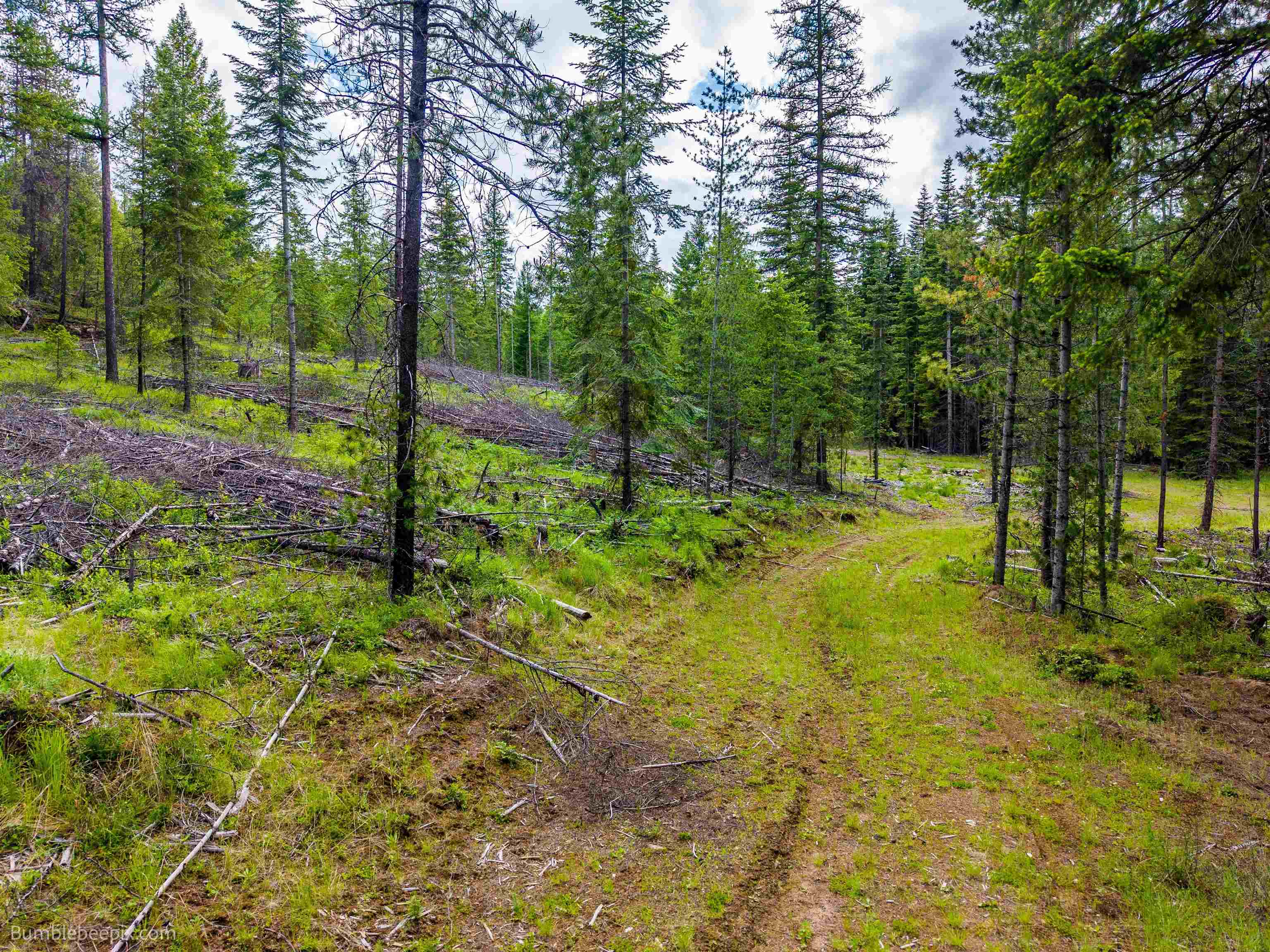 2902 Spring Valley Rd - Photo 36