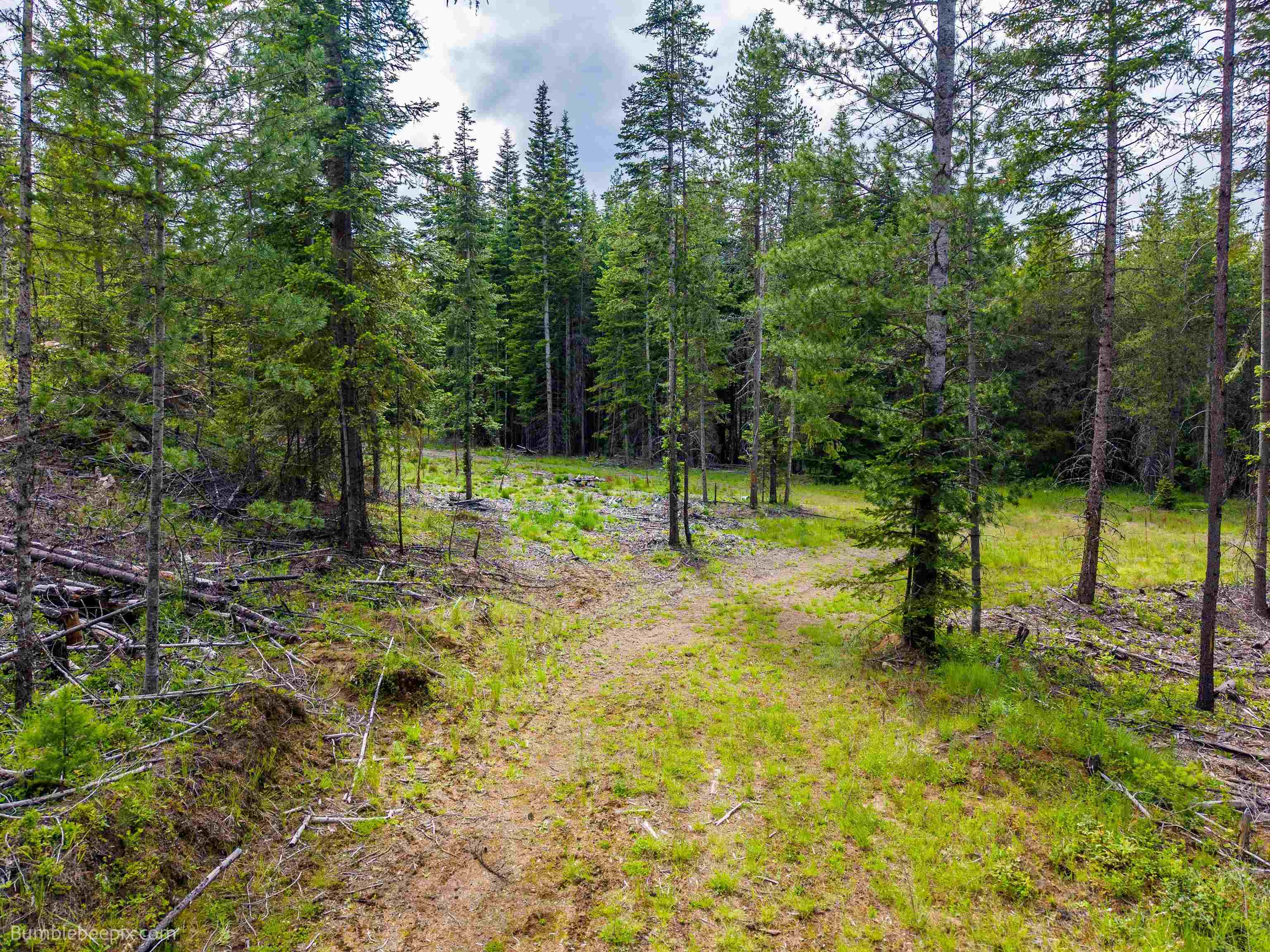 2902 Spring Valley Rd - Photo 37