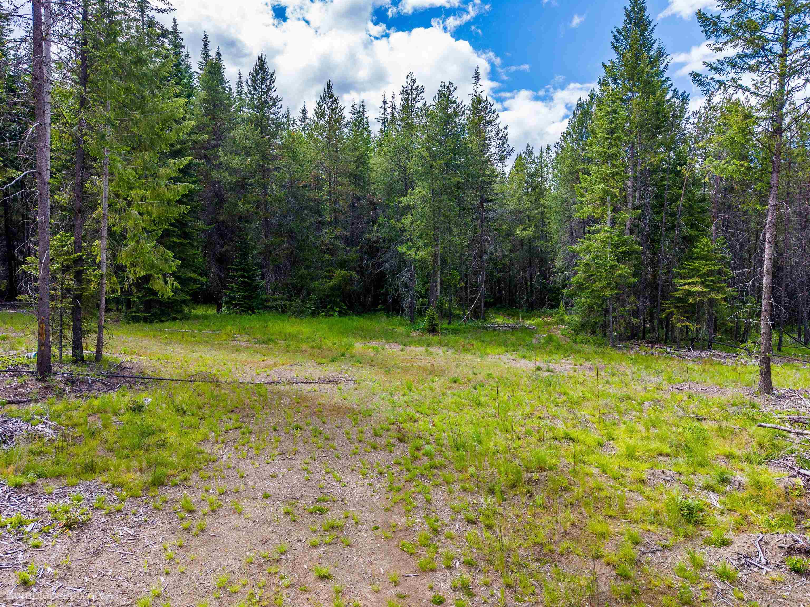 2902 Spring Valley Rd - Photo 38