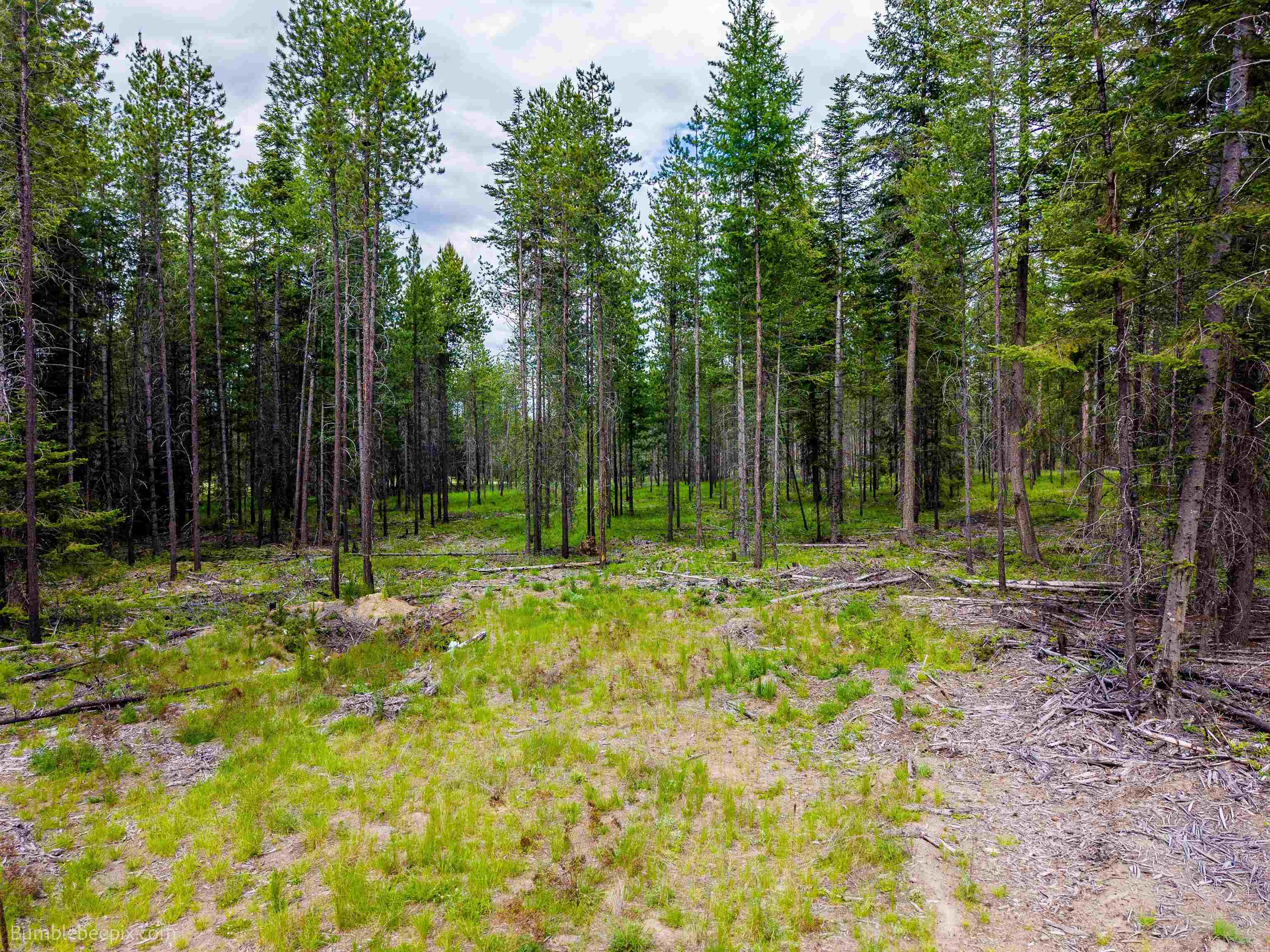 2902 Spring Valley Rd - Photo 39