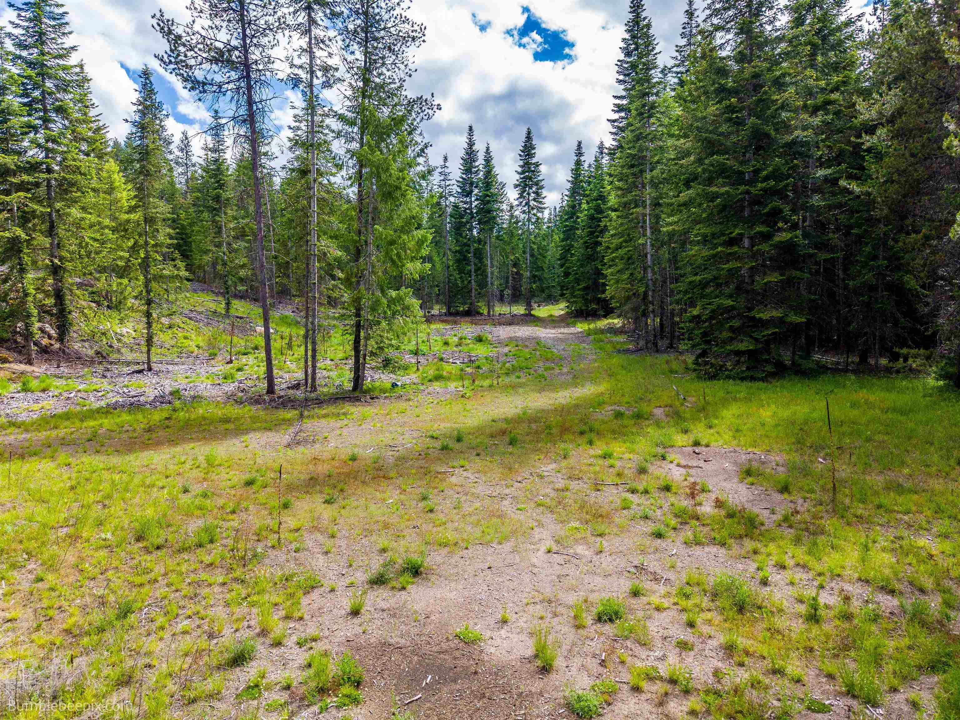 2902 Spring Valley Rd - Photo 40