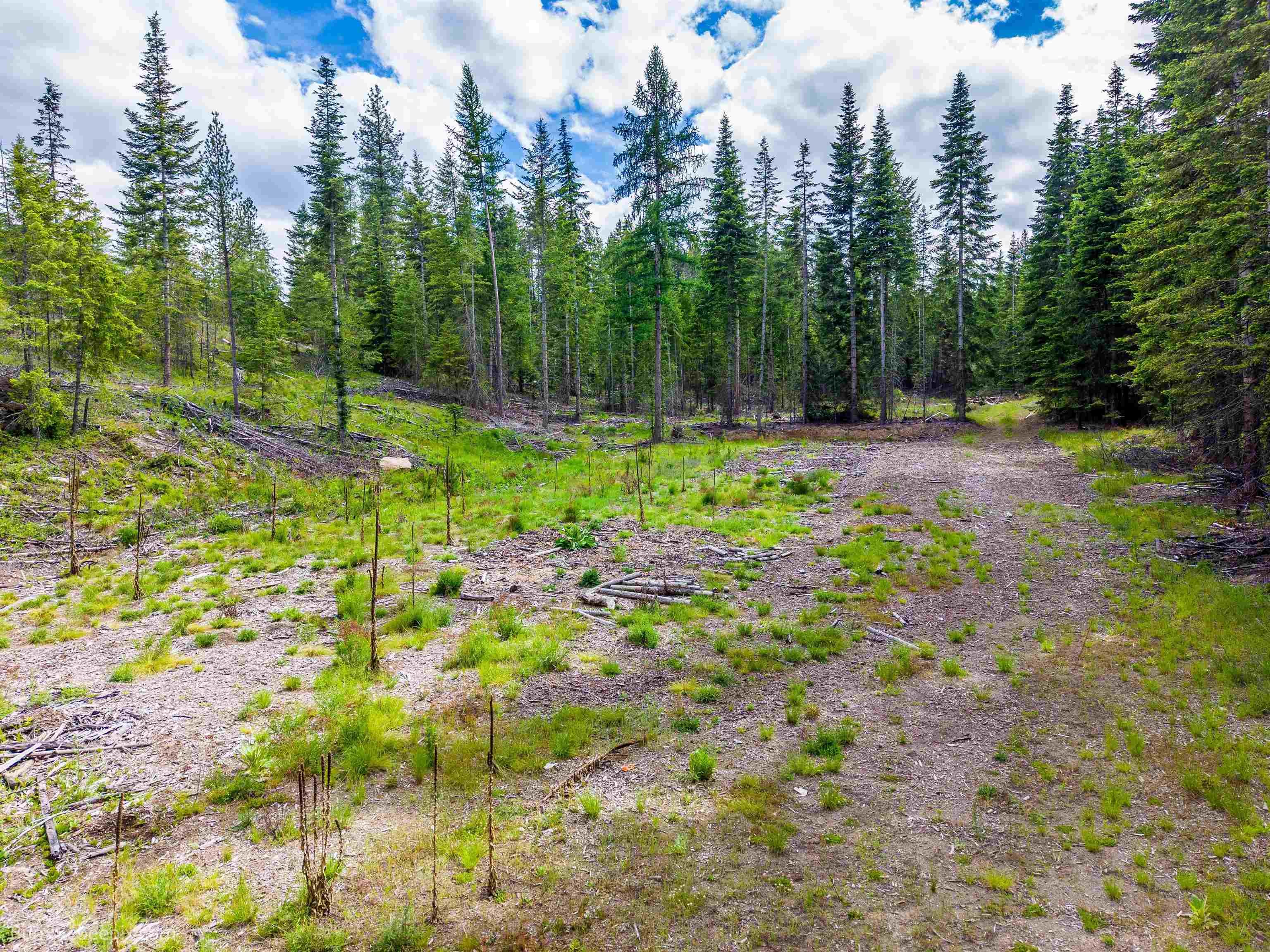 2902 Spring Valley Rd - Photo 41