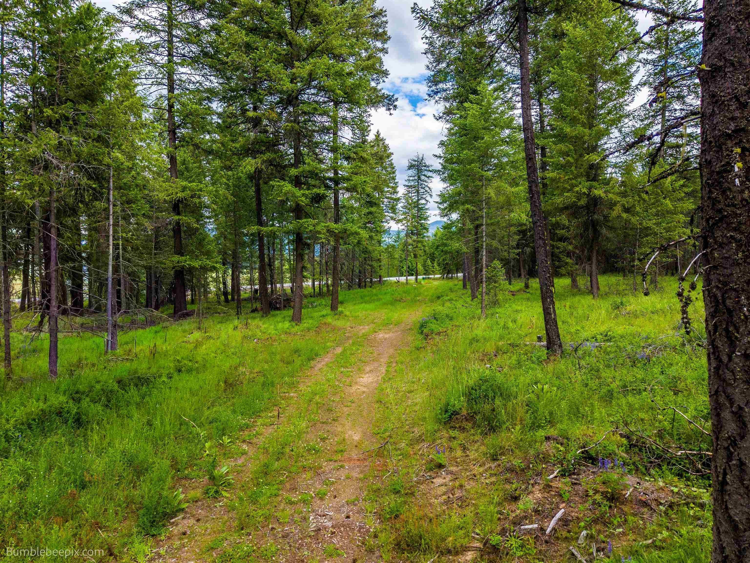 2902 Spring Valley Rd - Photo 42