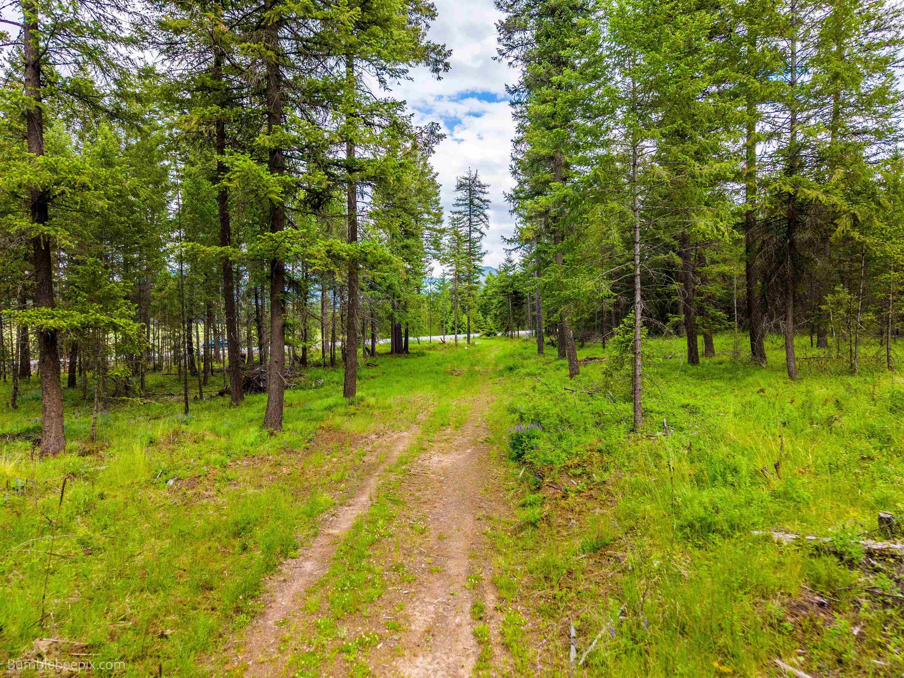 2902 Spring Valley Rd - Photo 43