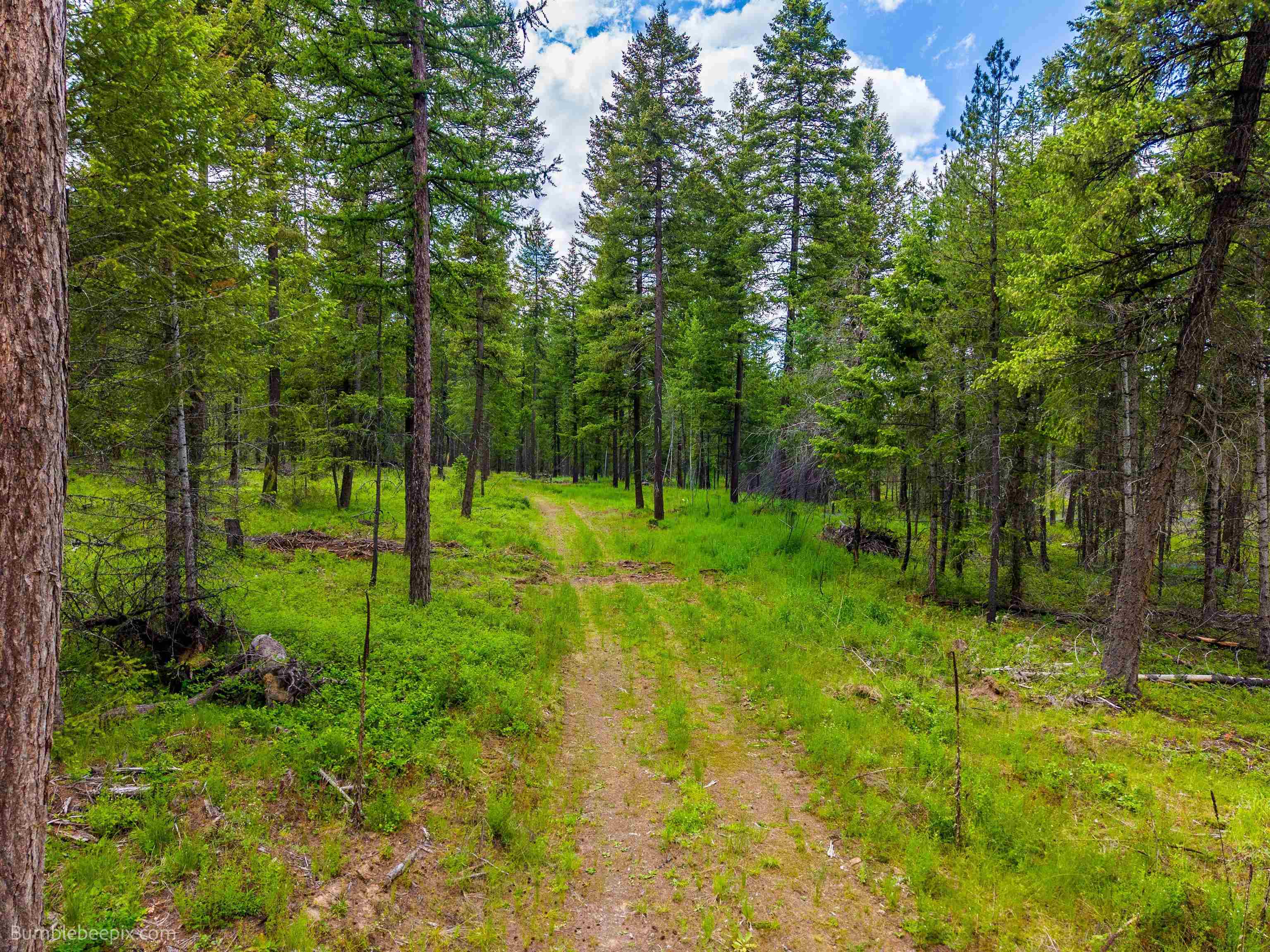 2902 Spring Valley Rd - Photo 45